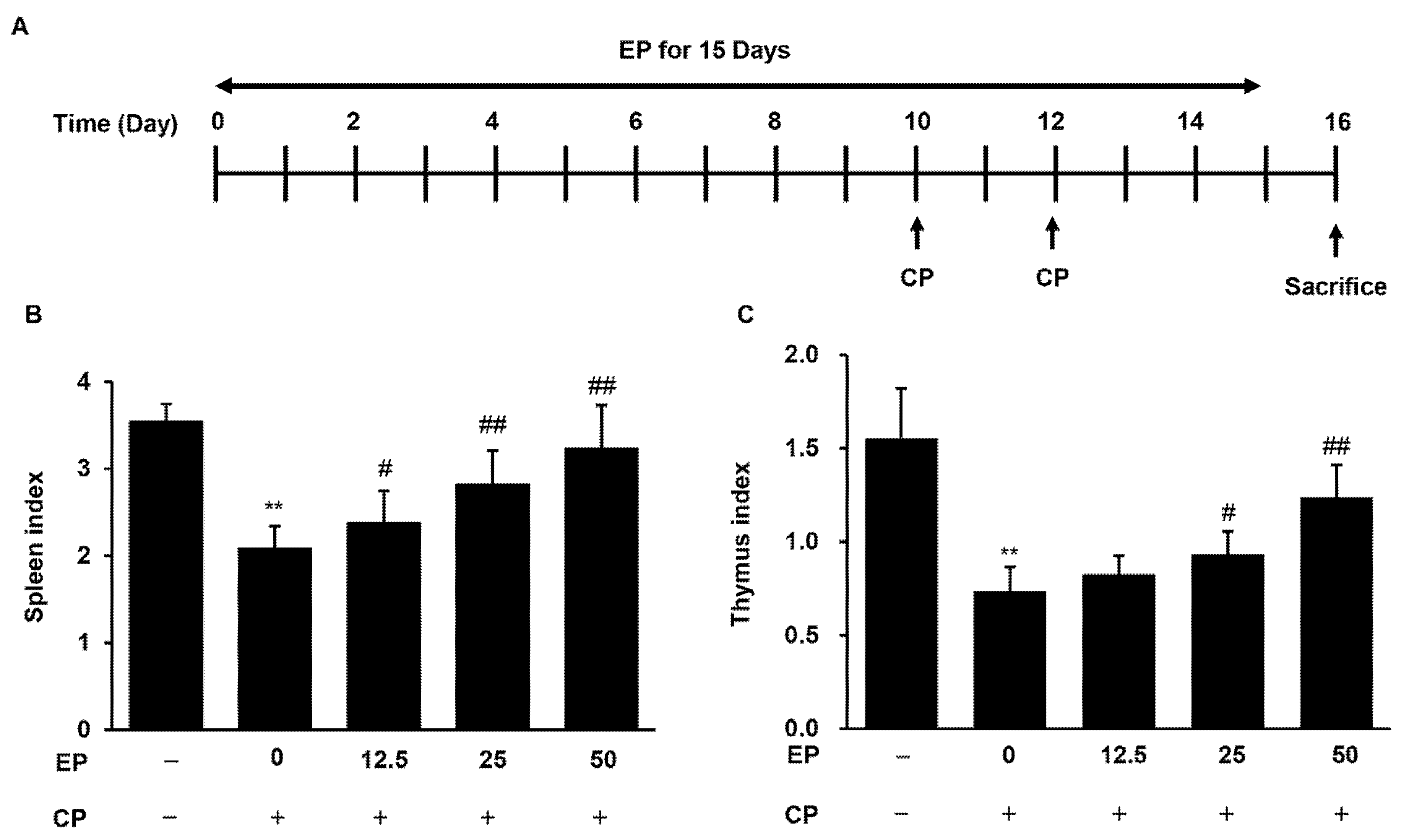 Applsci 12 00105 g002