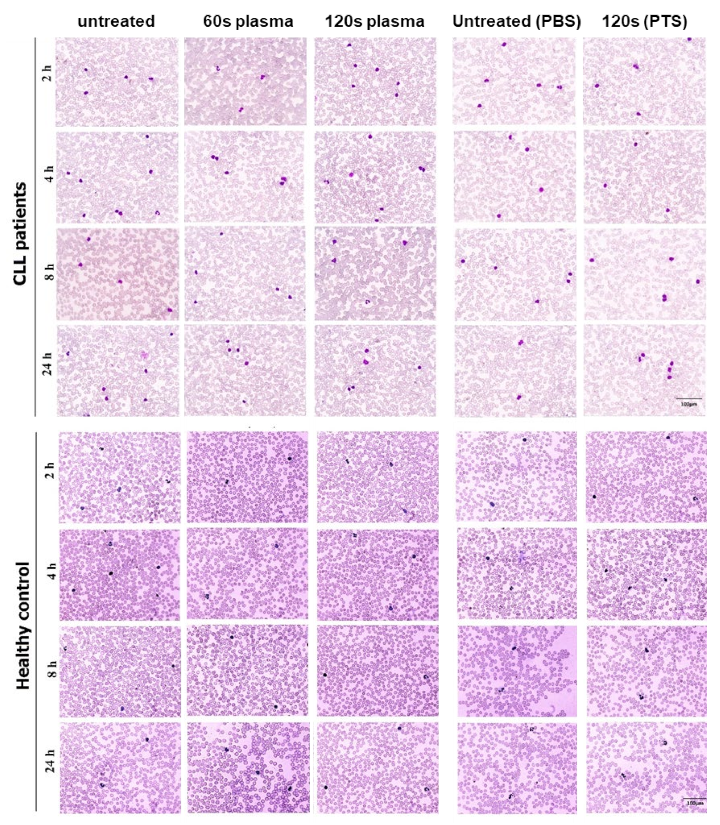 Applsci 12 00128 g002 550