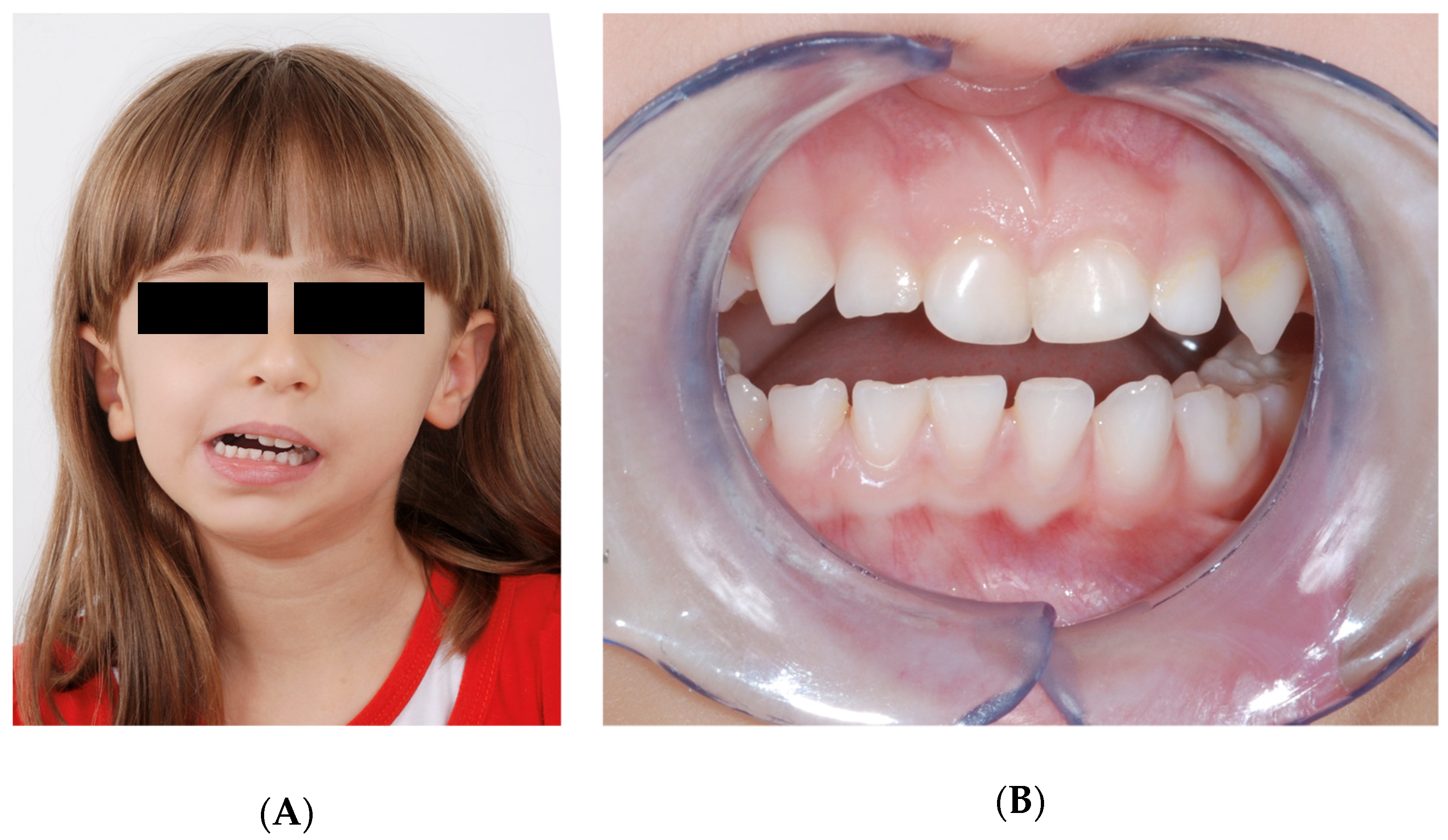 Applsci 12 00142 g001