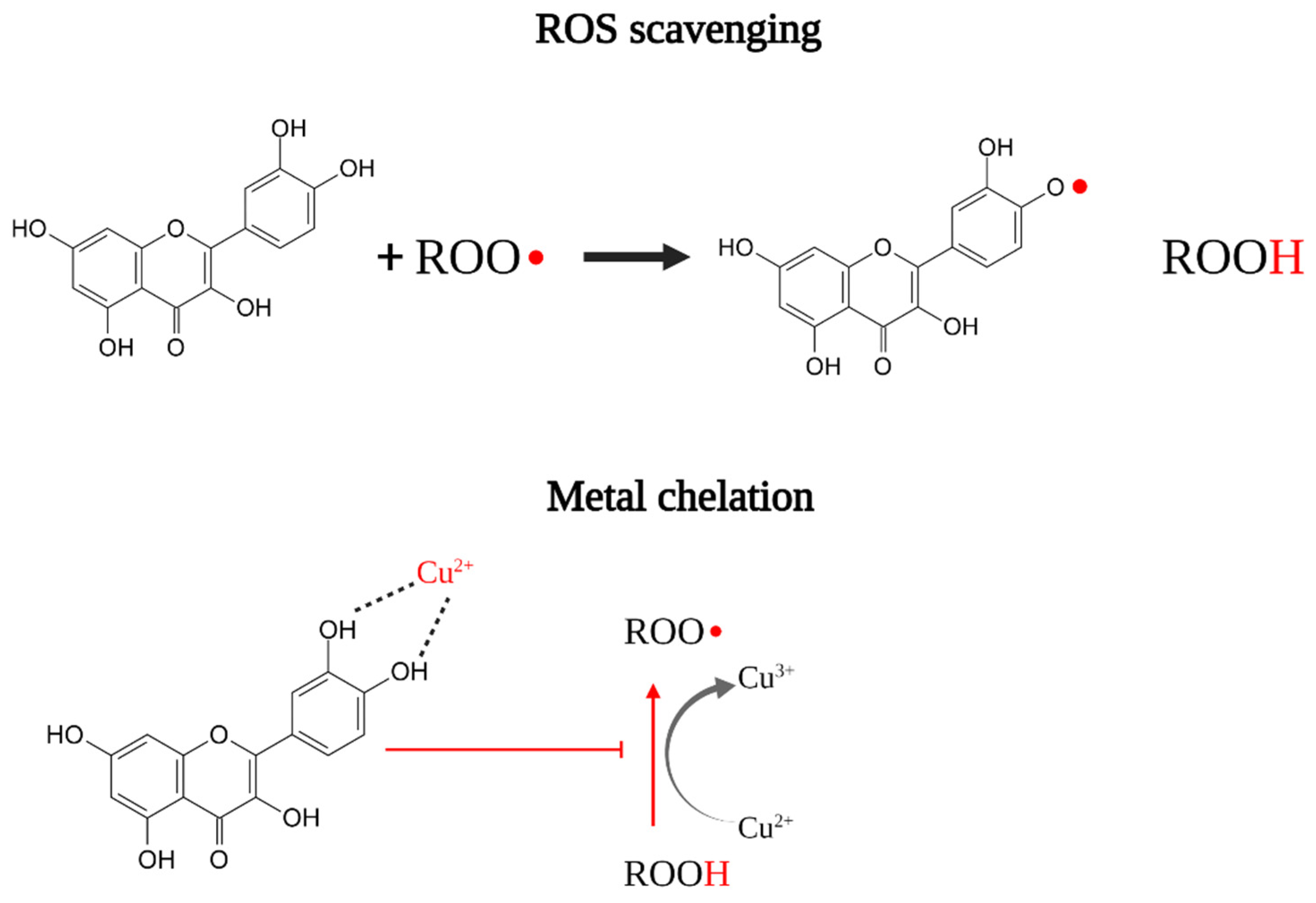 Applsci 12 00160 g001