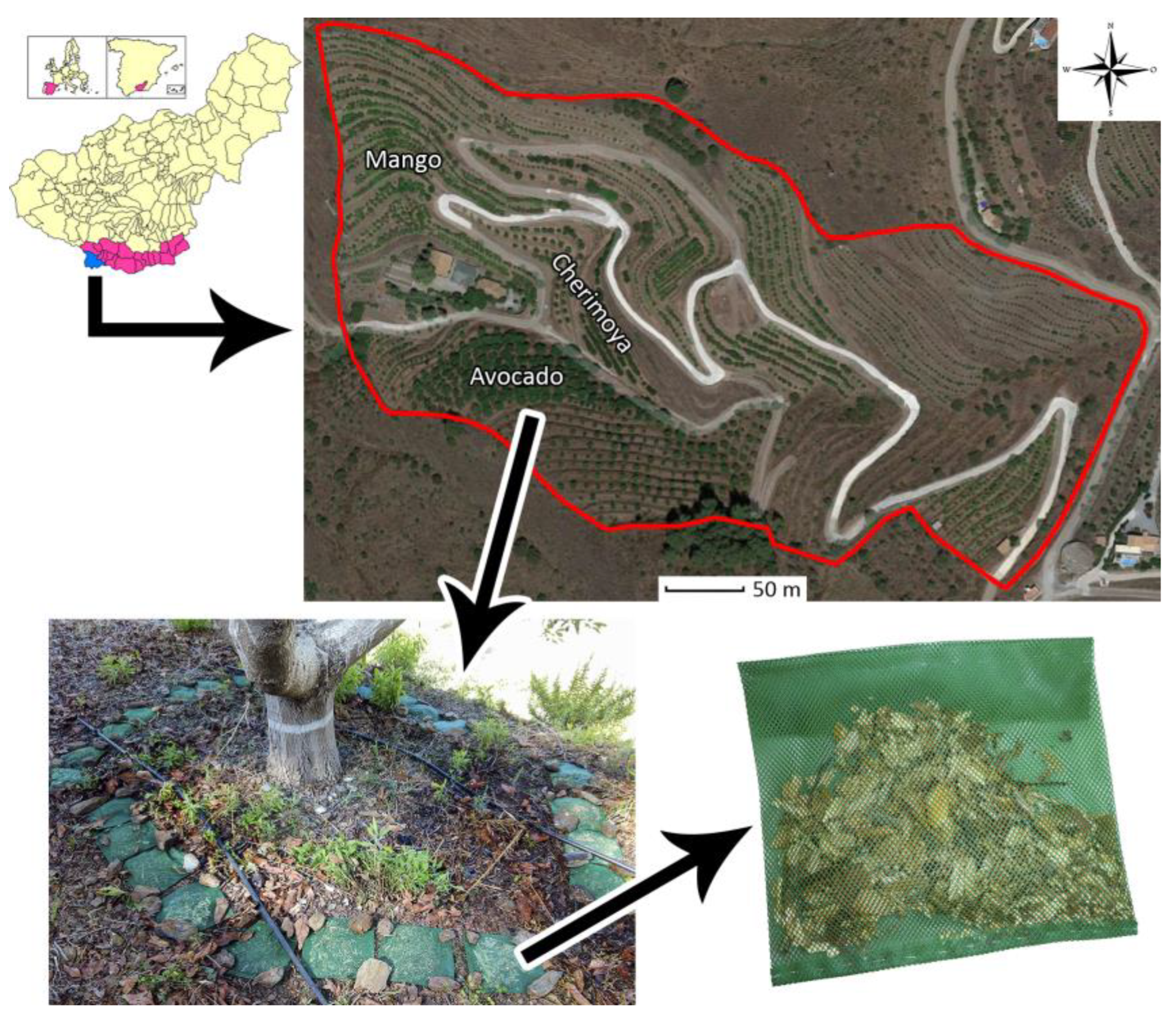 Applsci 12 00193 g001 550