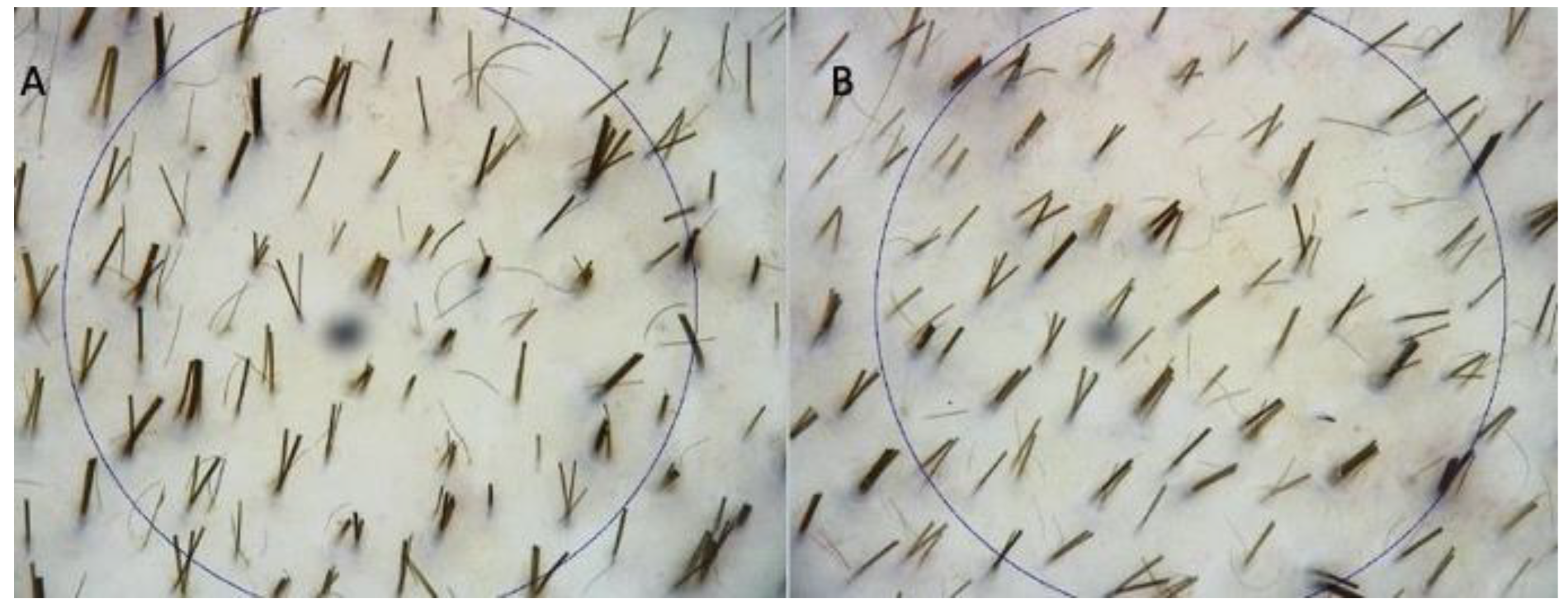 Applsci 12 00217 g004 550