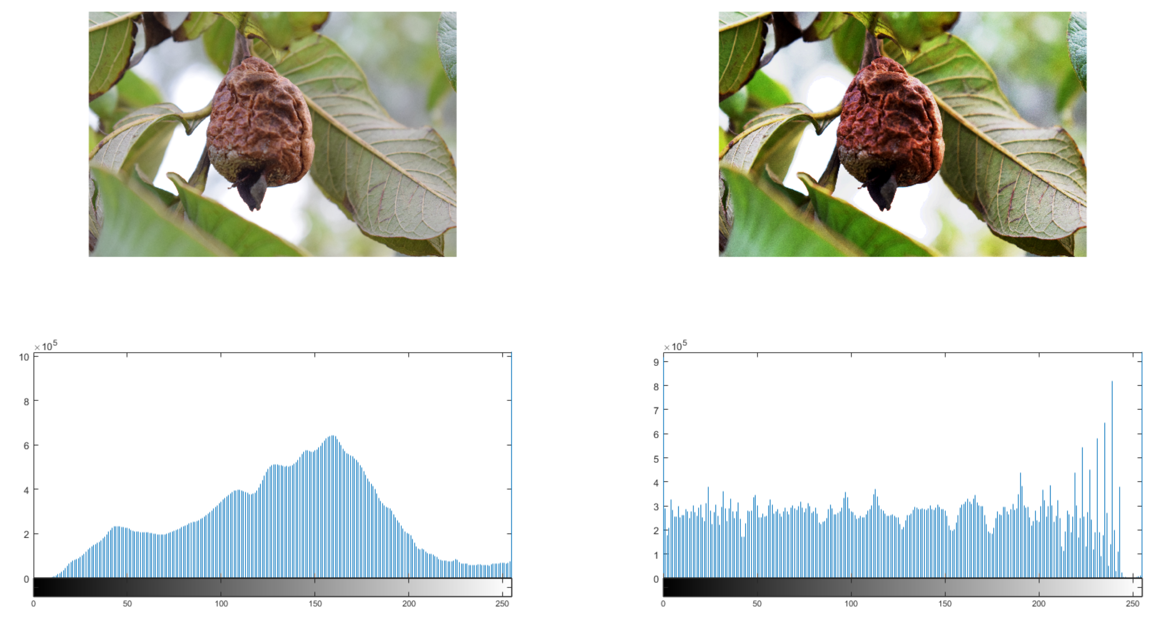 Applsci 12 00239 g002 550