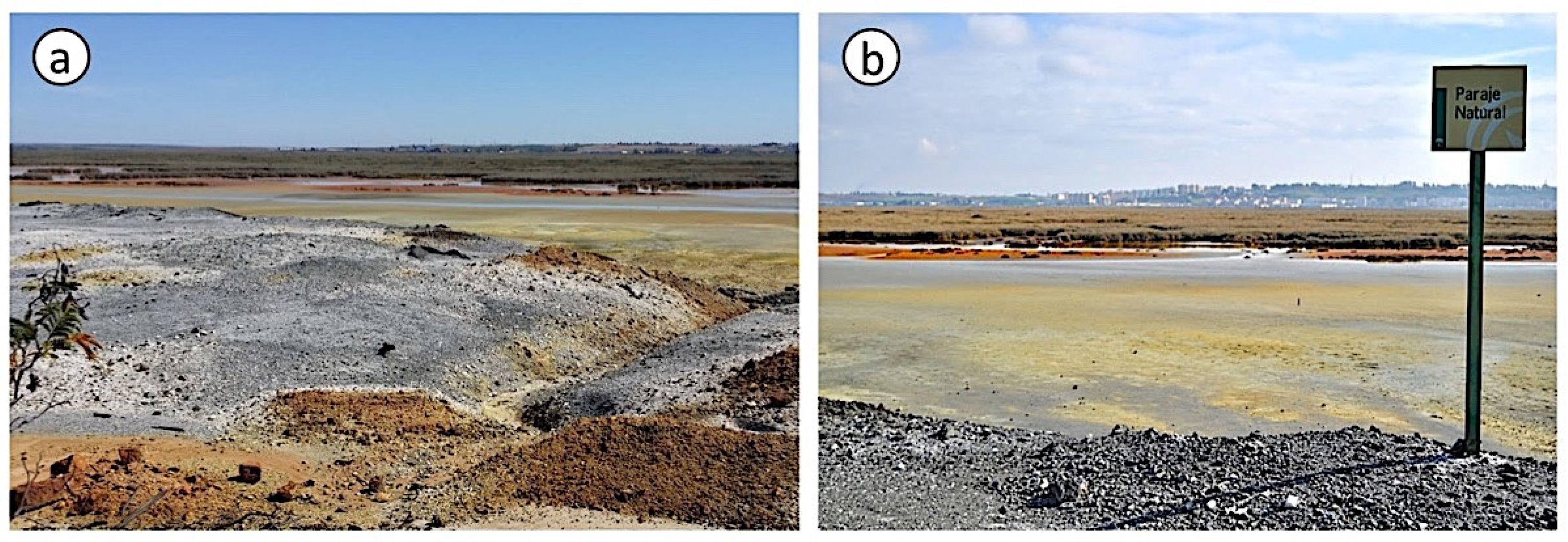 Applsci 12 00249 g001 550