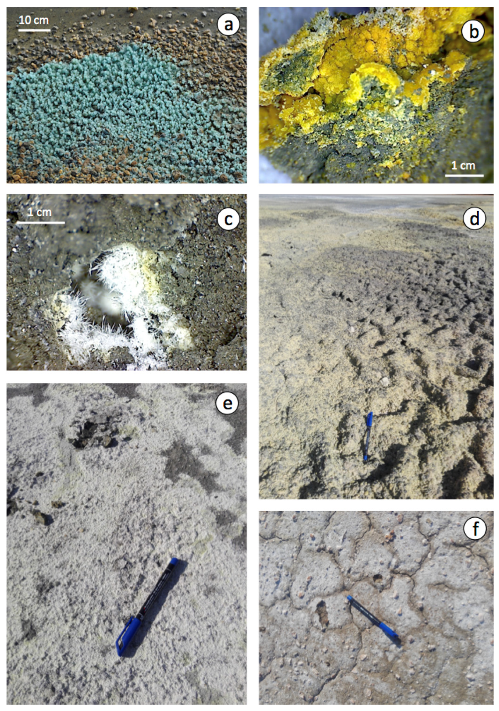 Applsci 12 00249 g006 550