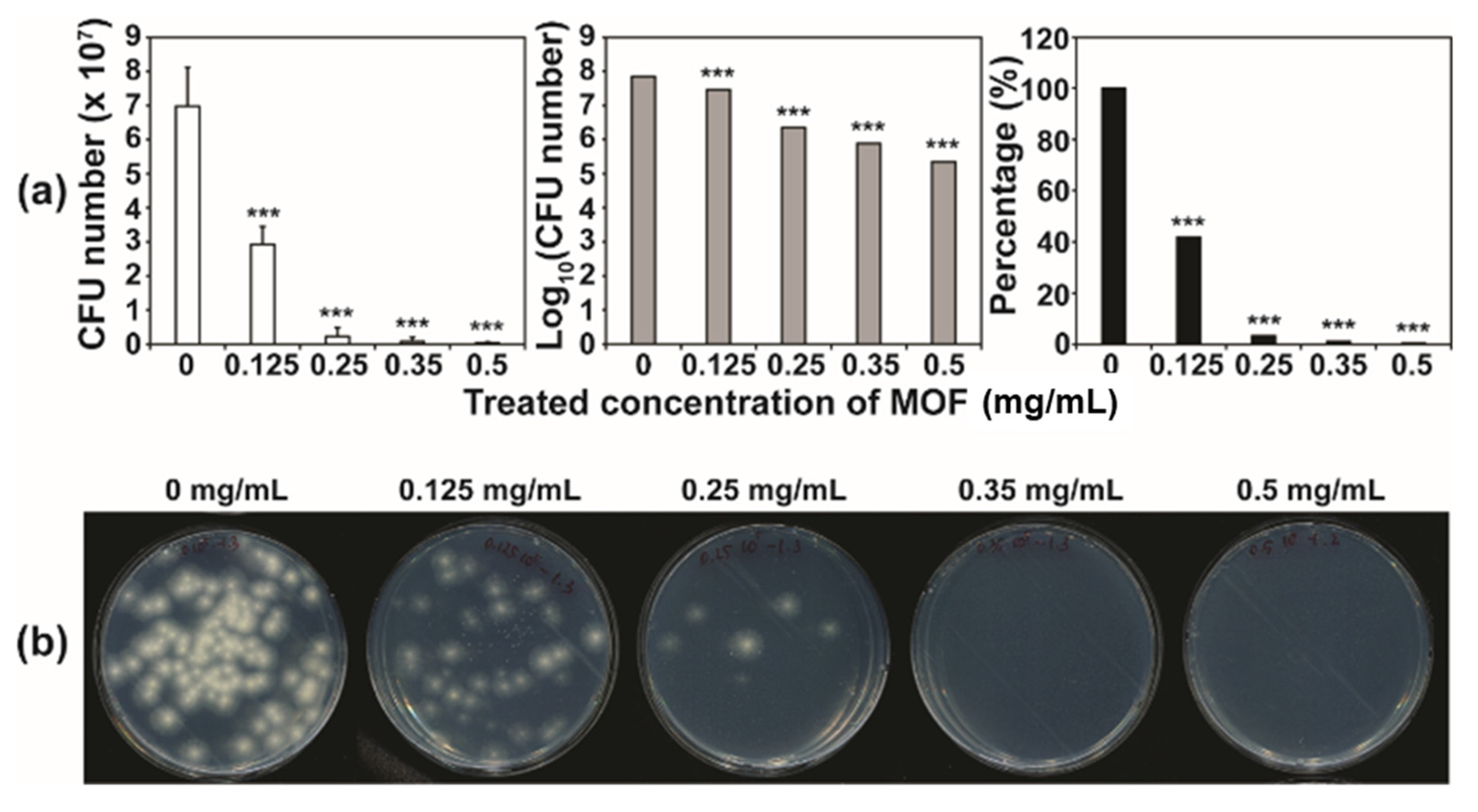 Applsci 12 00260 g004