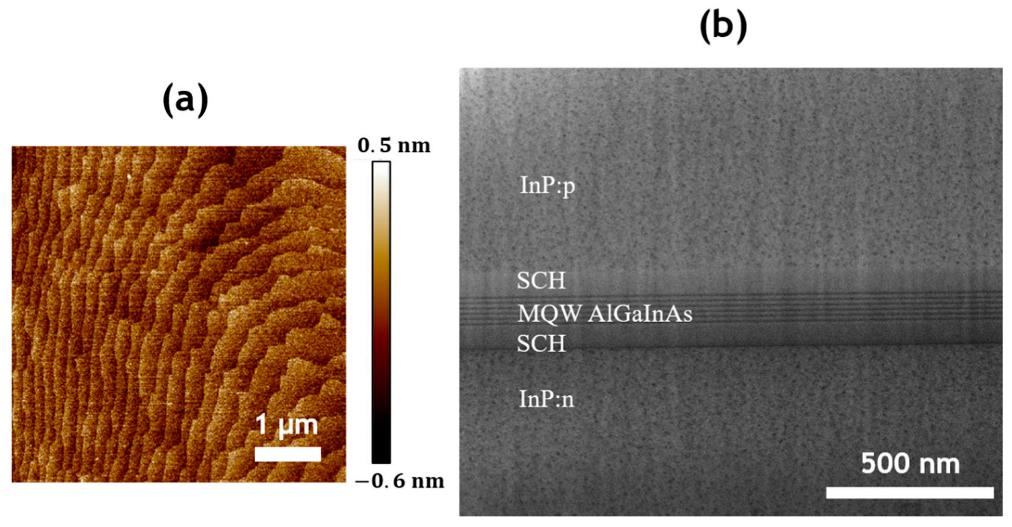 Applsci 12 00263 g003 550