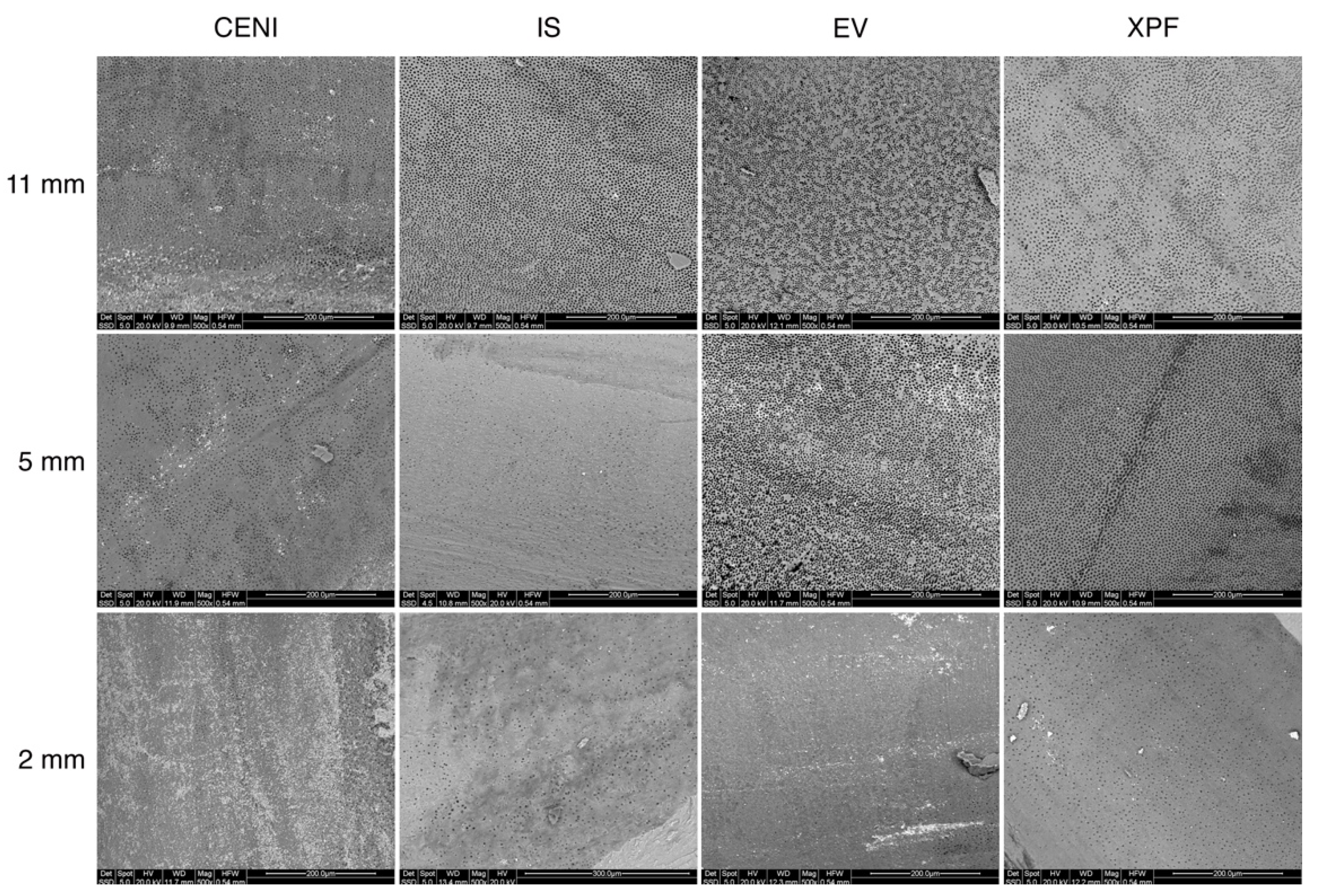 Applsci 12 00271 g004 550