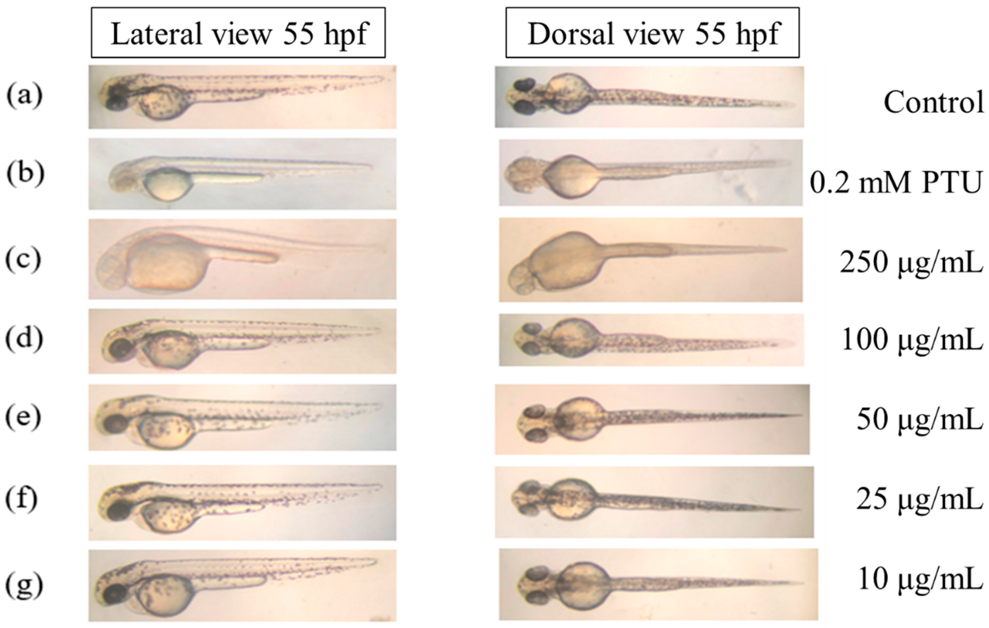 Applsci 12 00277 g004