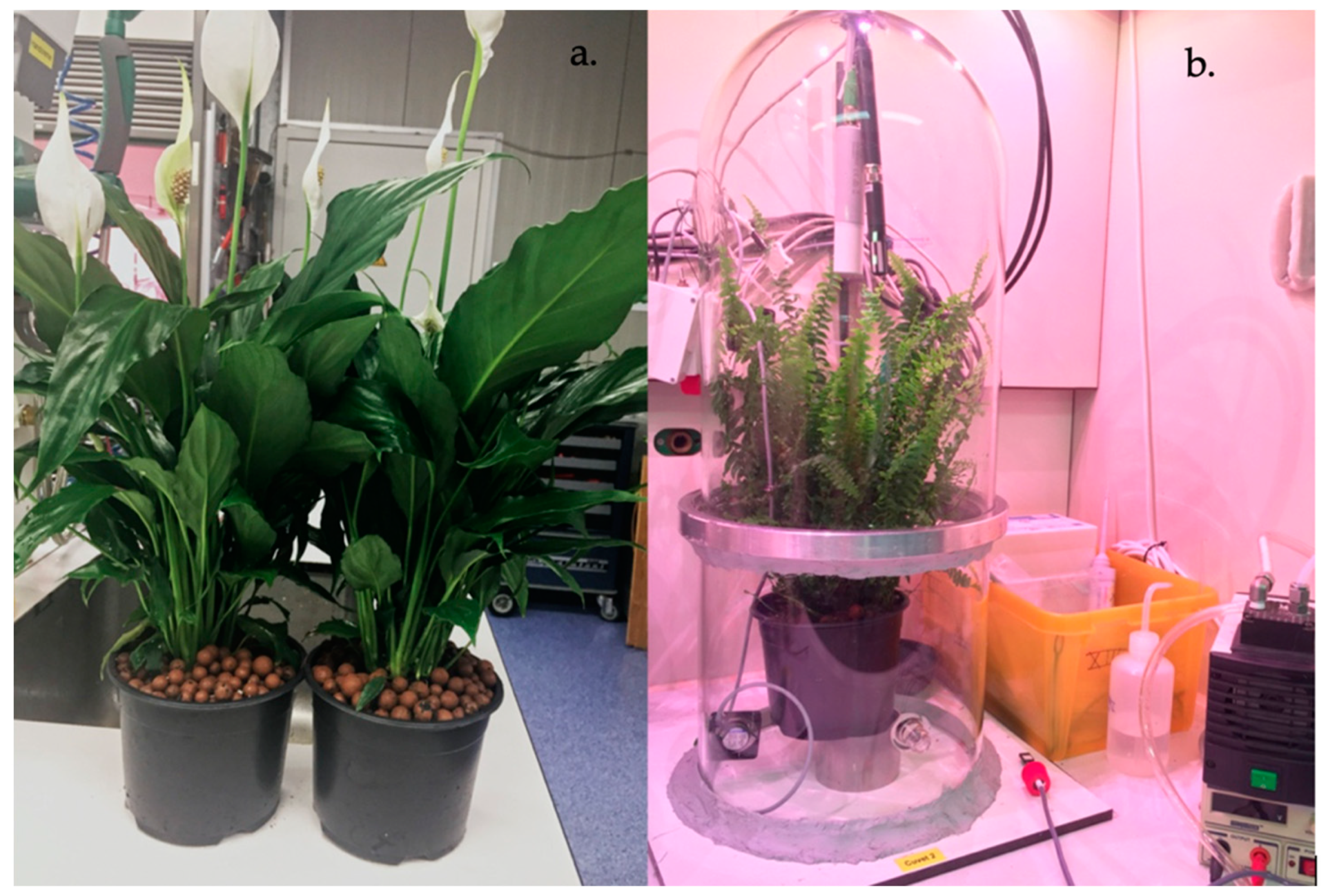 Applsci 12 00284 g002