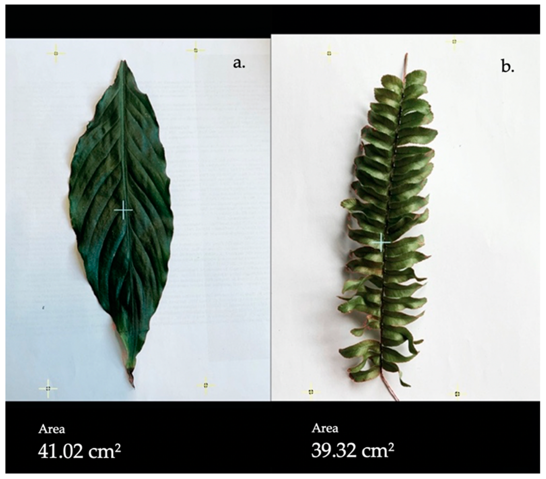 Applsci 12 00284 g003