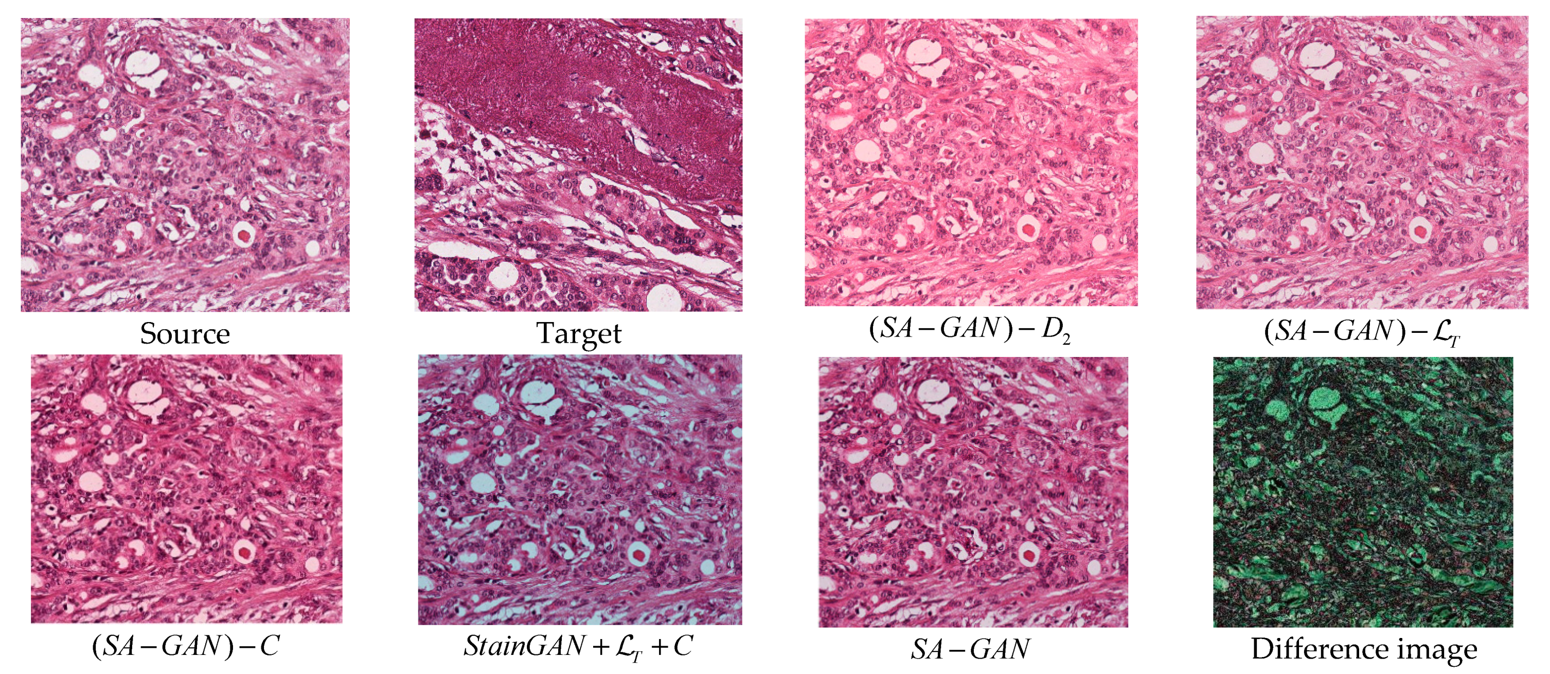 Applsci 12 00288 g006 550