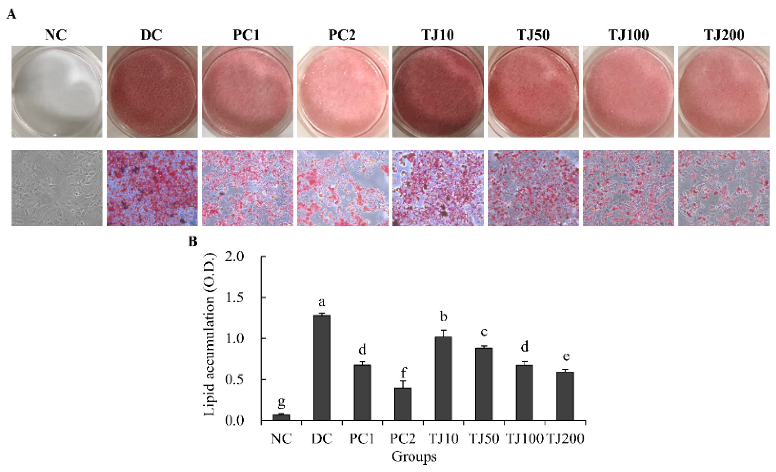 Applsci 12 00290 g003 550
