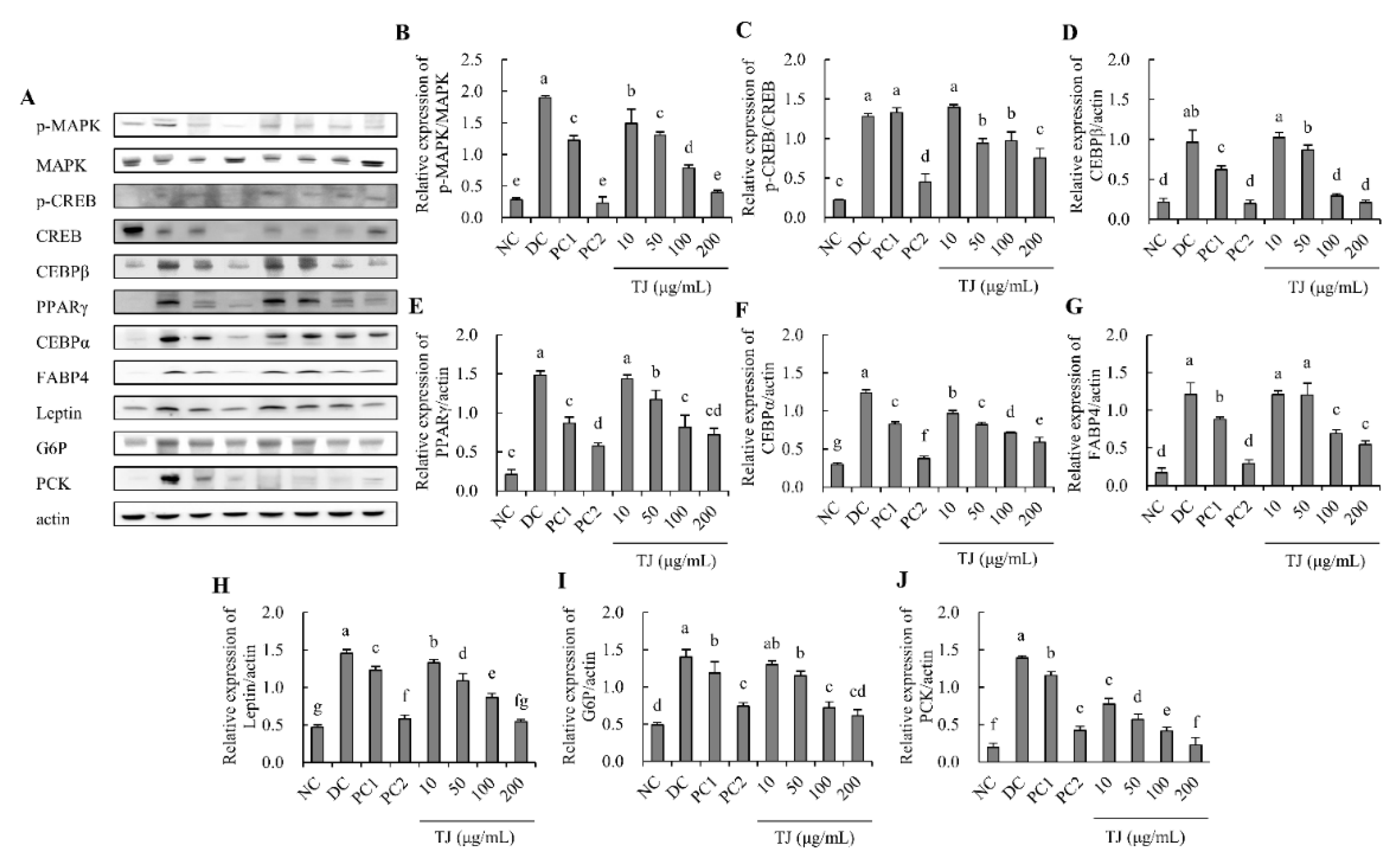 Applsci 12 00290 g004 550