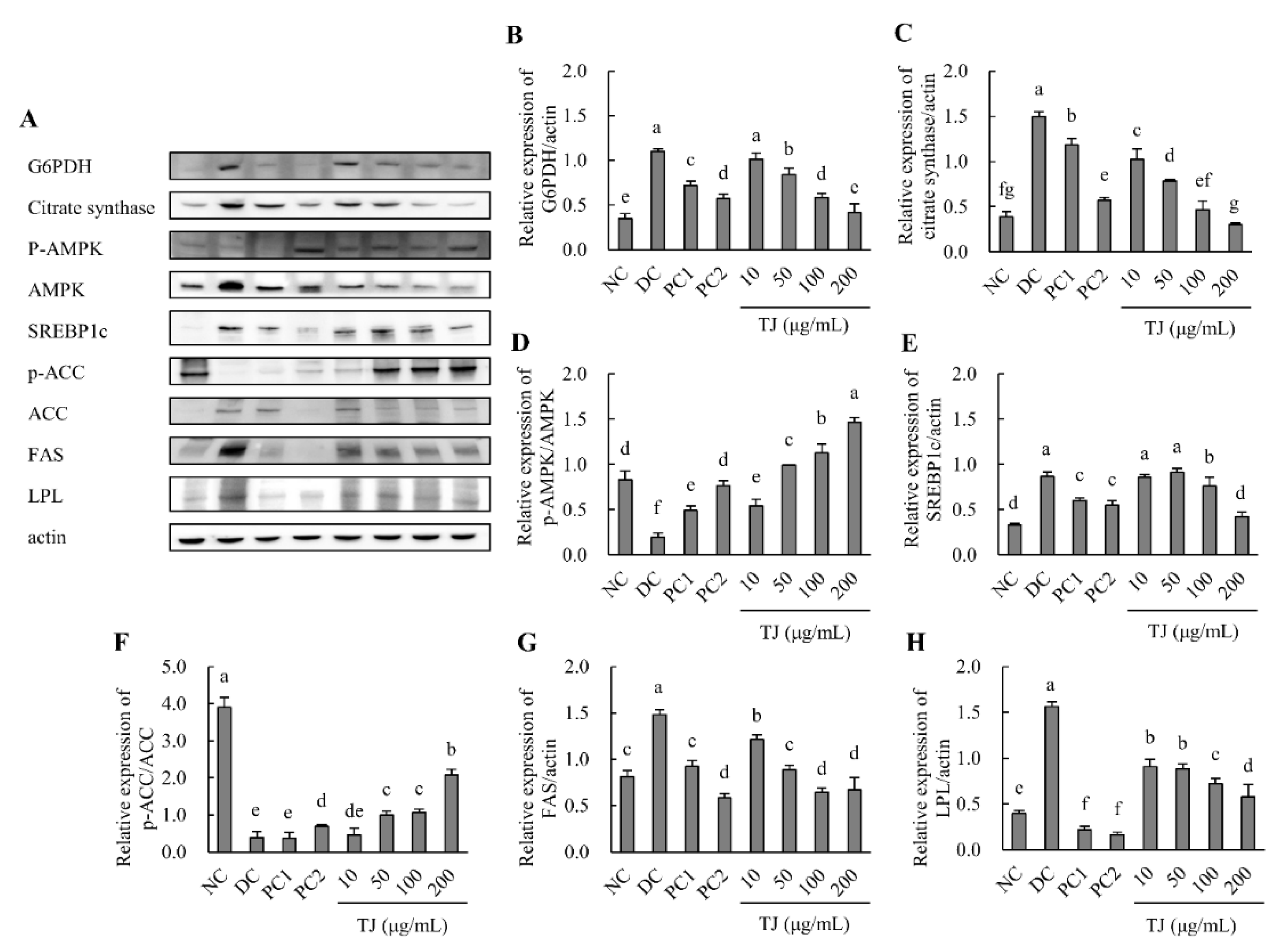 Applsci 12 00290 g005 550