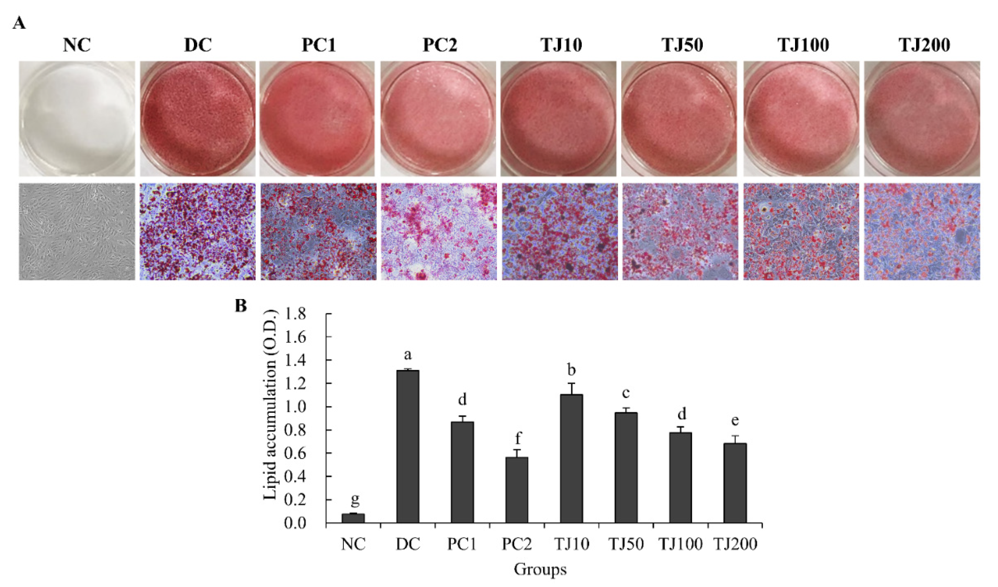 Applsci 12 00290 g007 550