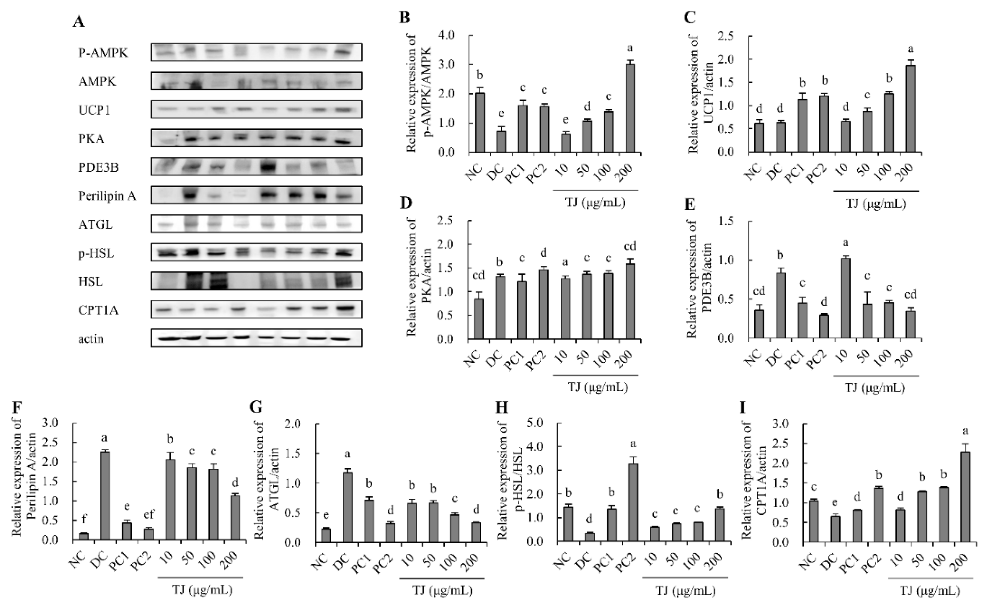 Applsci 12 00290 g008 550