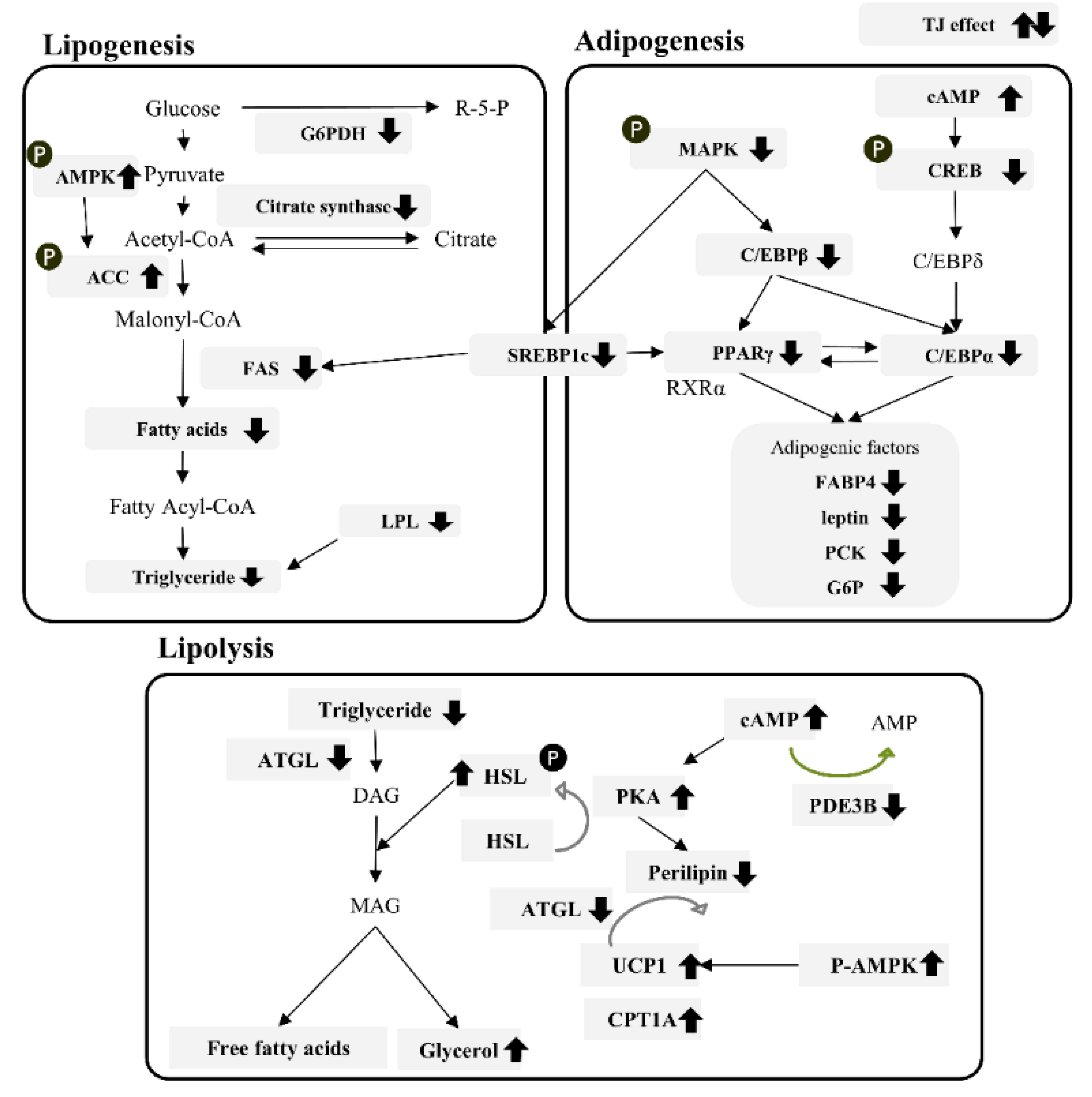 Applsci 12 00290 g0a1 550