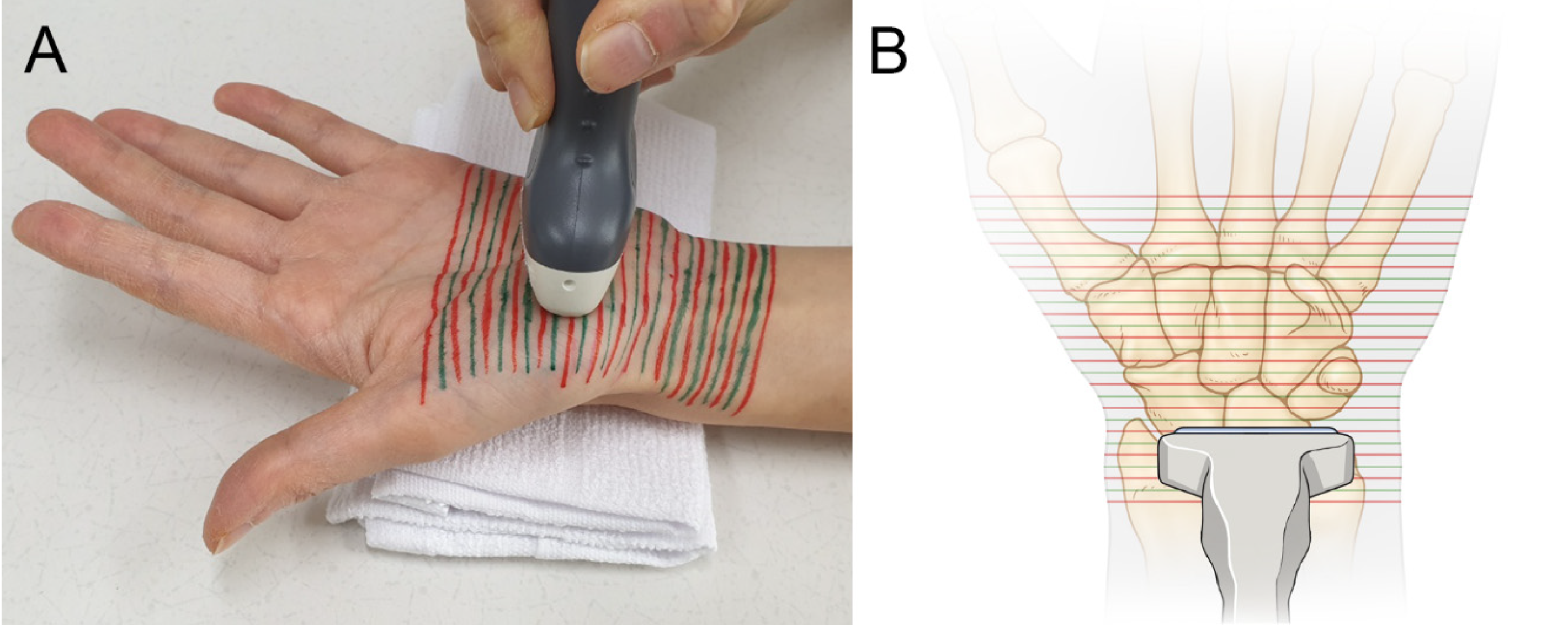 Applsci 12 00299 g001 550