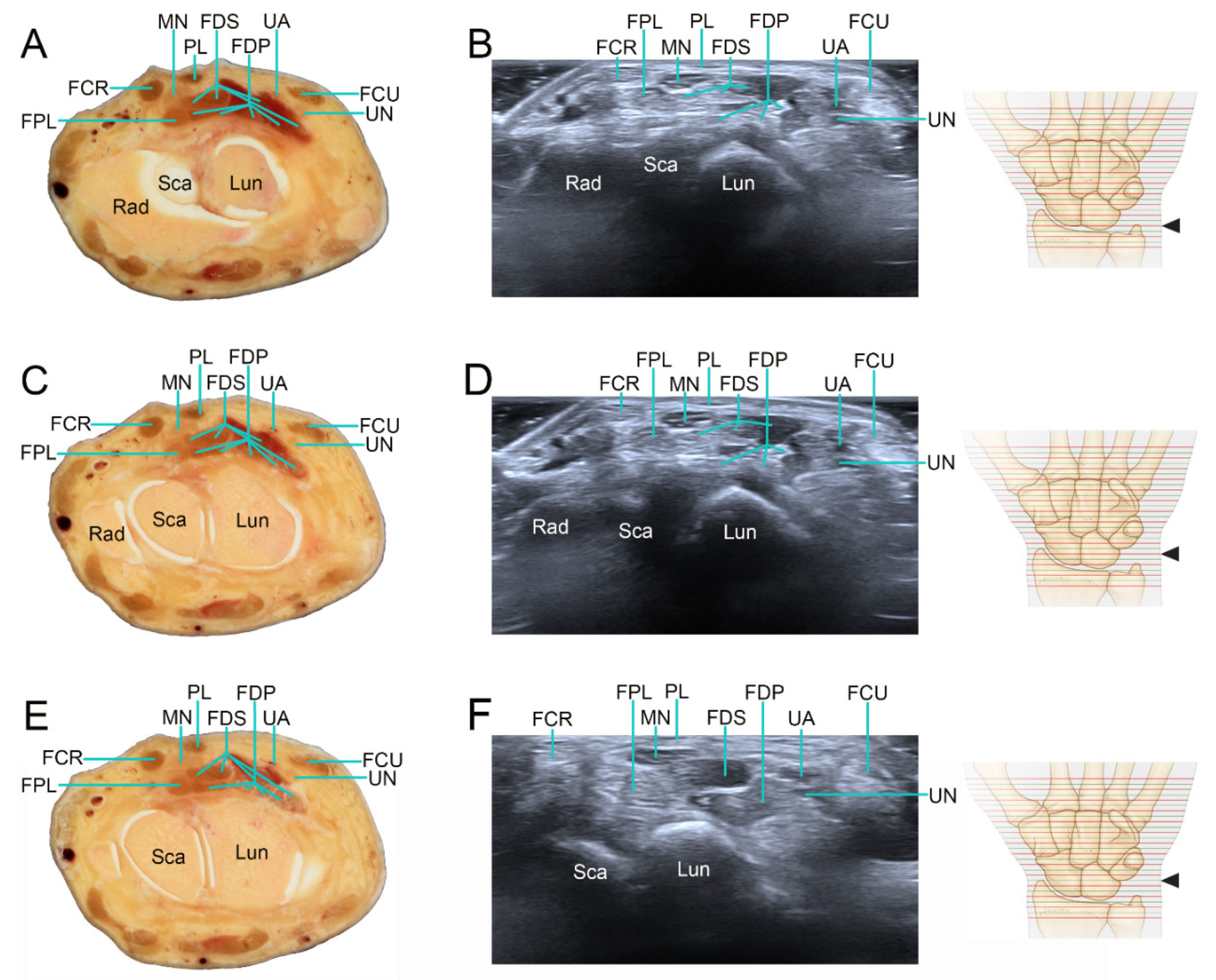 Applsci 12 00299 g003 550