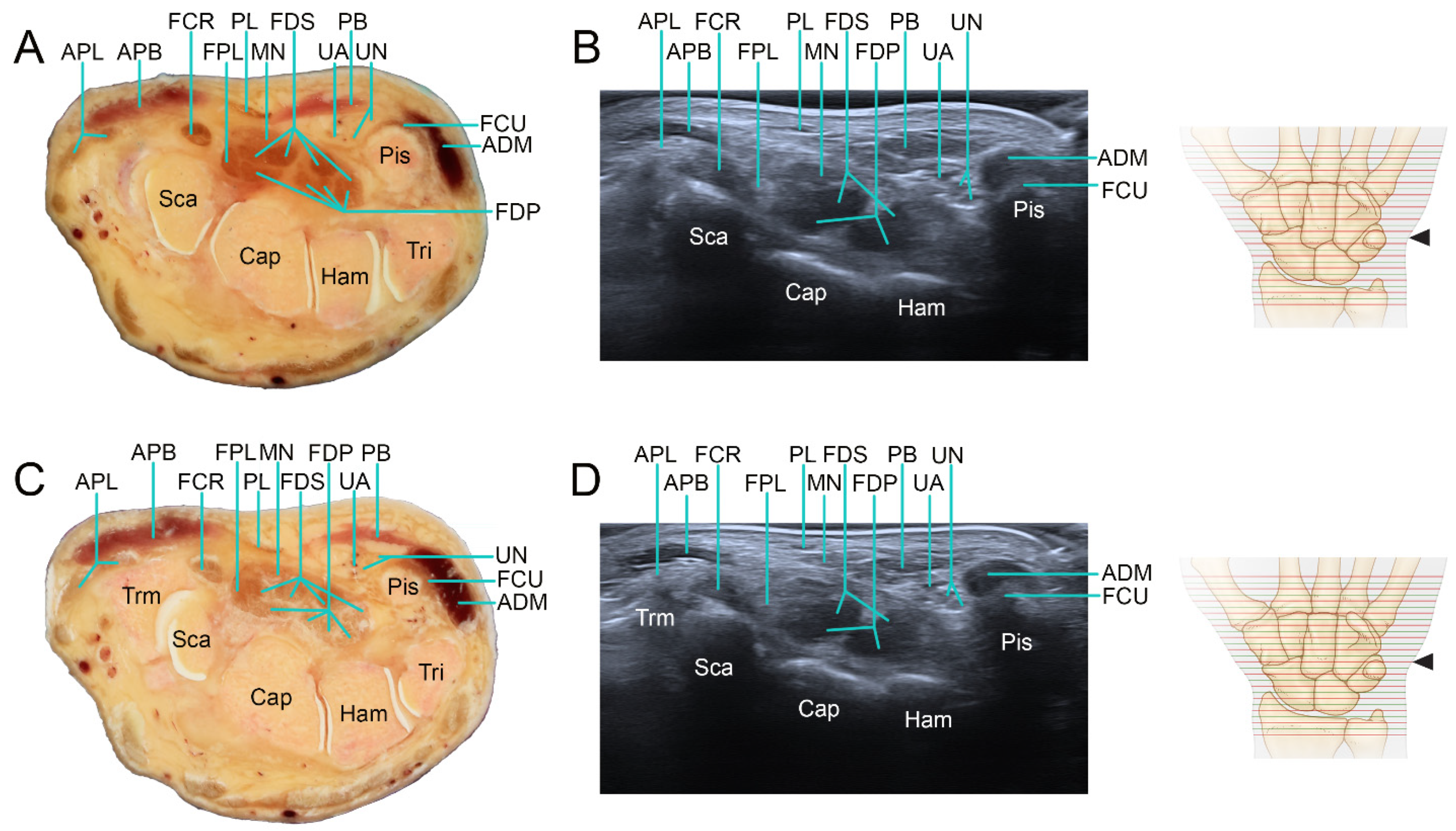 Applsci 12 00299 g005 550