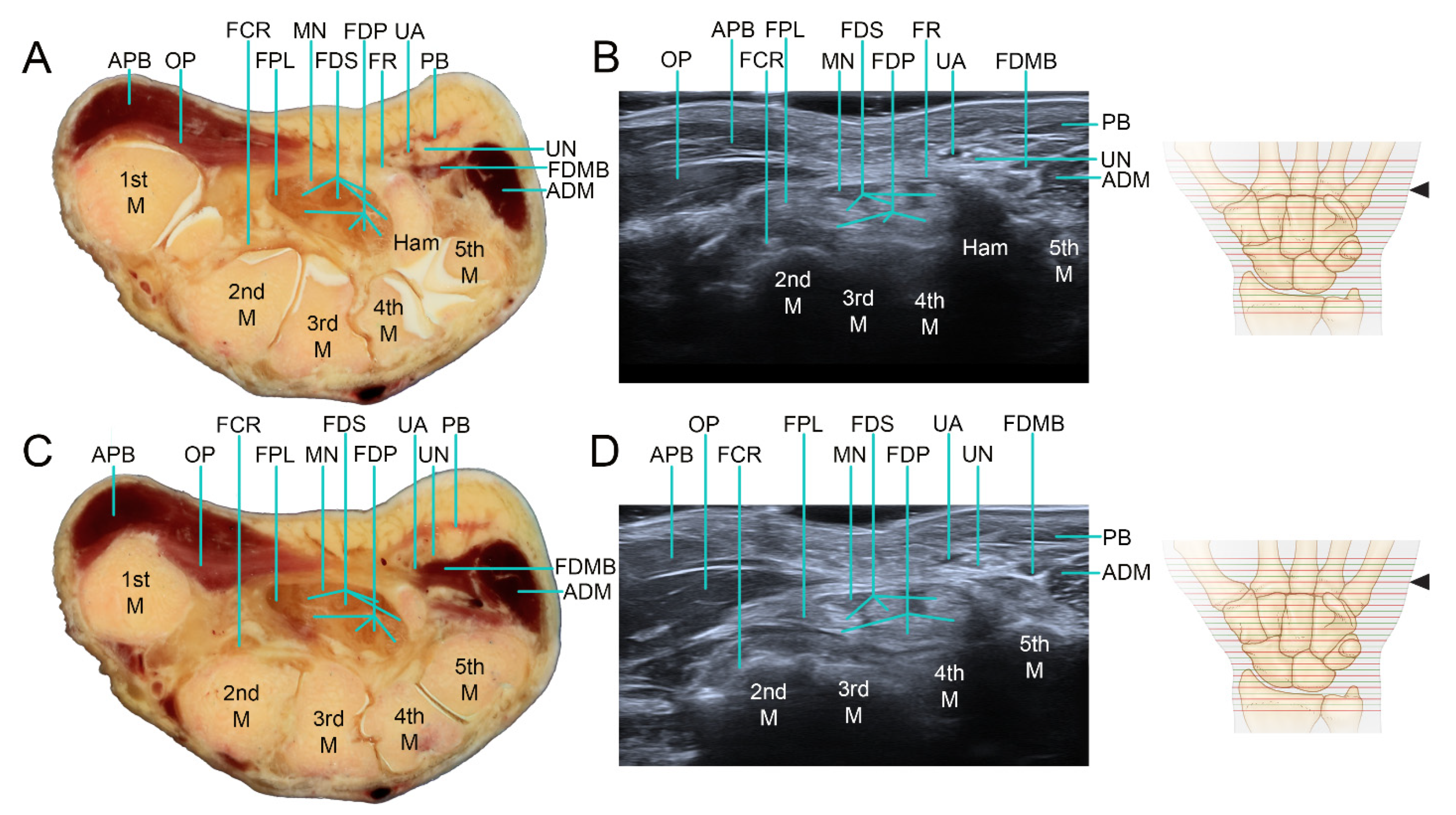 Applsci 12 00299 g008 550