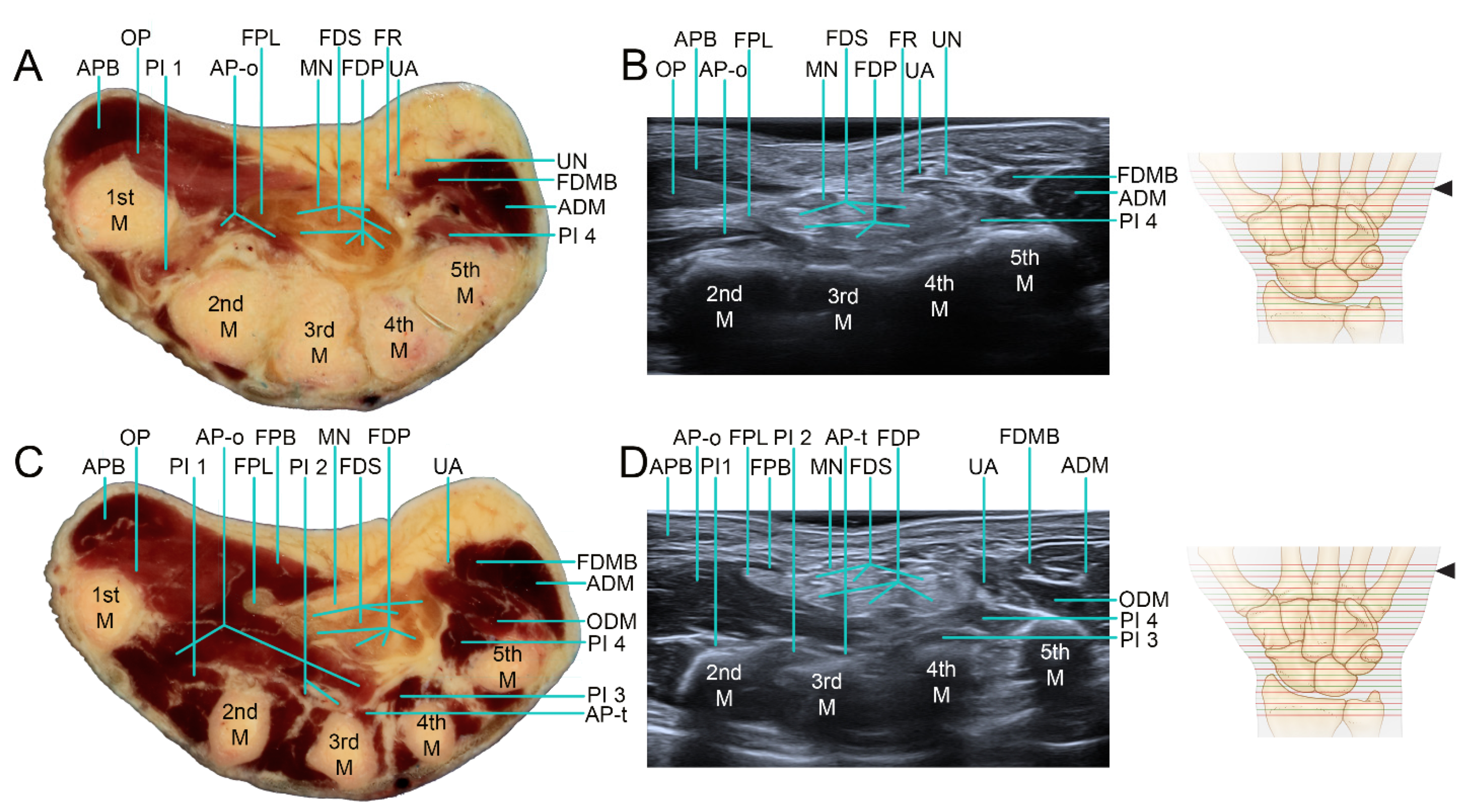 Applsci 12 00299 g009 550