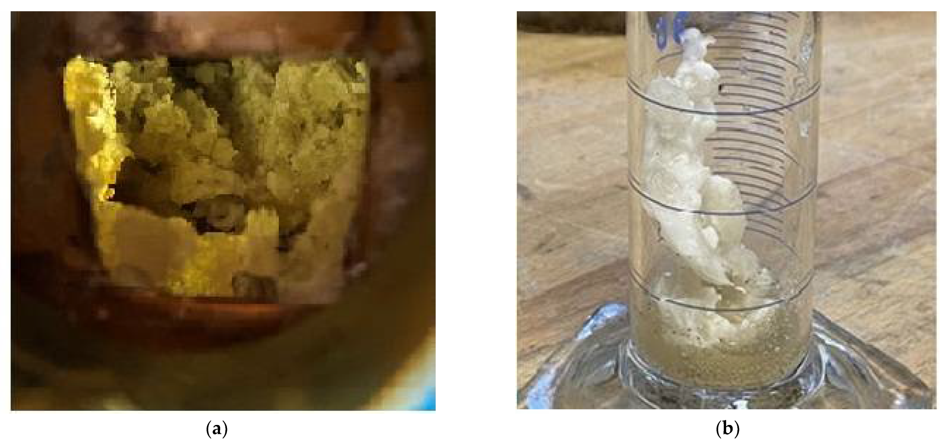 Applsci 12 00312 g007 550