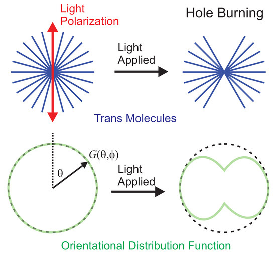 Applied Sciences | Free Full-Text | Photothermal and Reorientational Contributions to the Photomechanical Response of DR1 Azo Dye-Doped PMMA Fibers Applied Sciences | Free Full-Text | Photothermal and Reorientational Contributions to the Photomechanical Response of DR1 Azo Dye-Doped PMMA Fibers