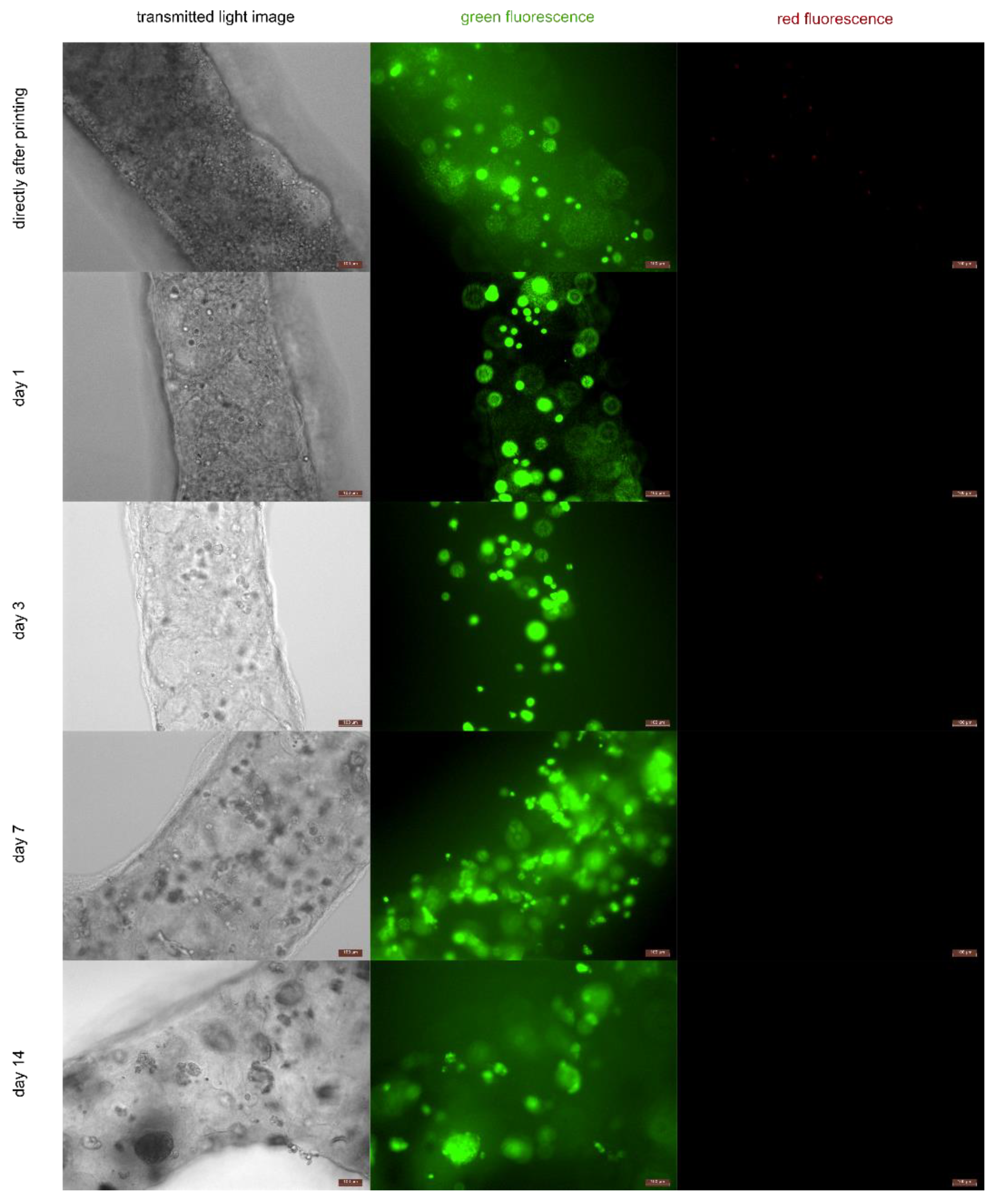 Applsci 12 00326 g009 Applsci 12 00326 g009