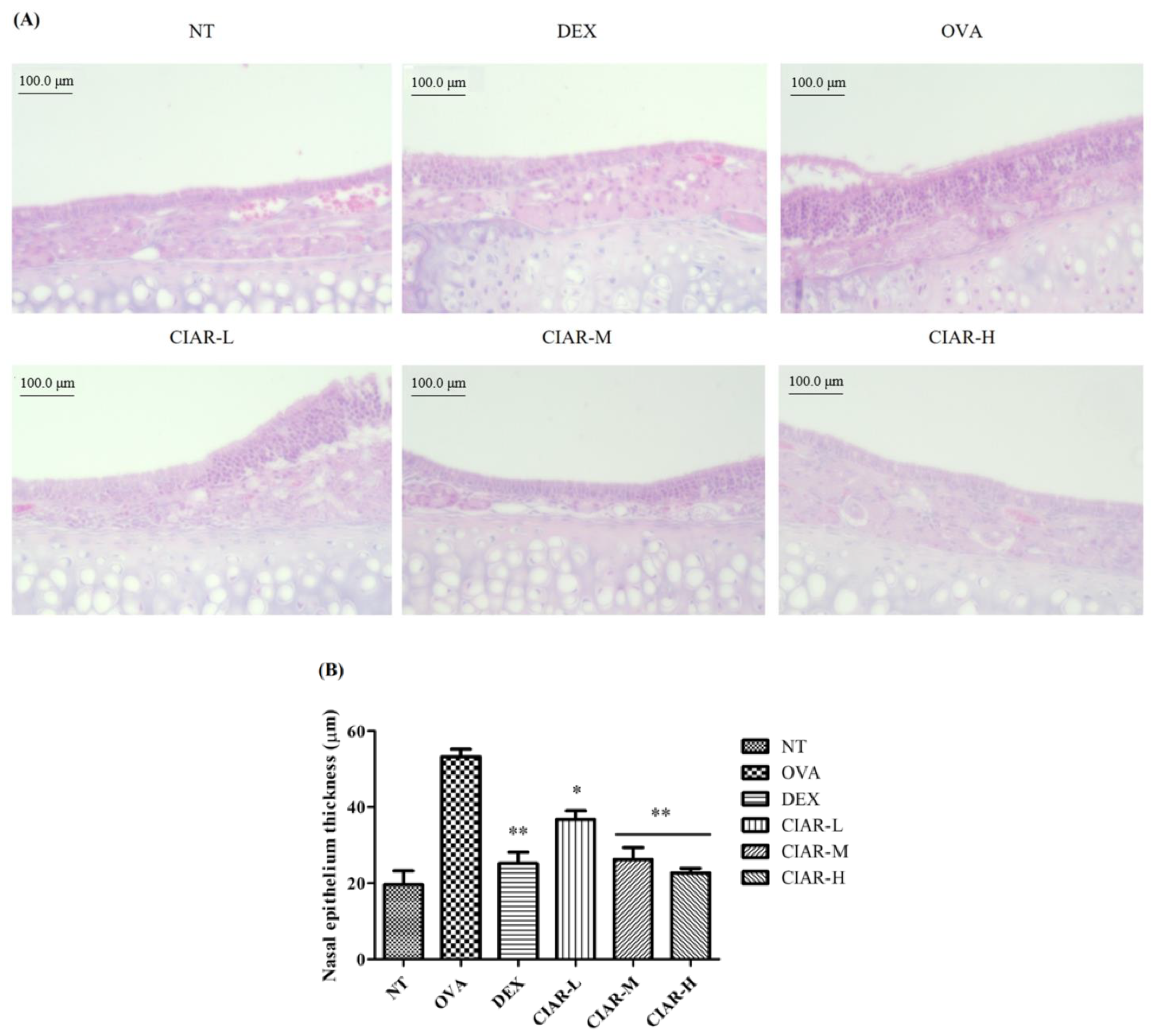 Applsci 12 00340 g004 550