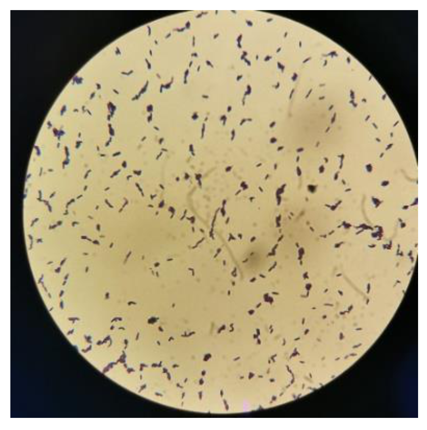 Applsci 12 00342 g001