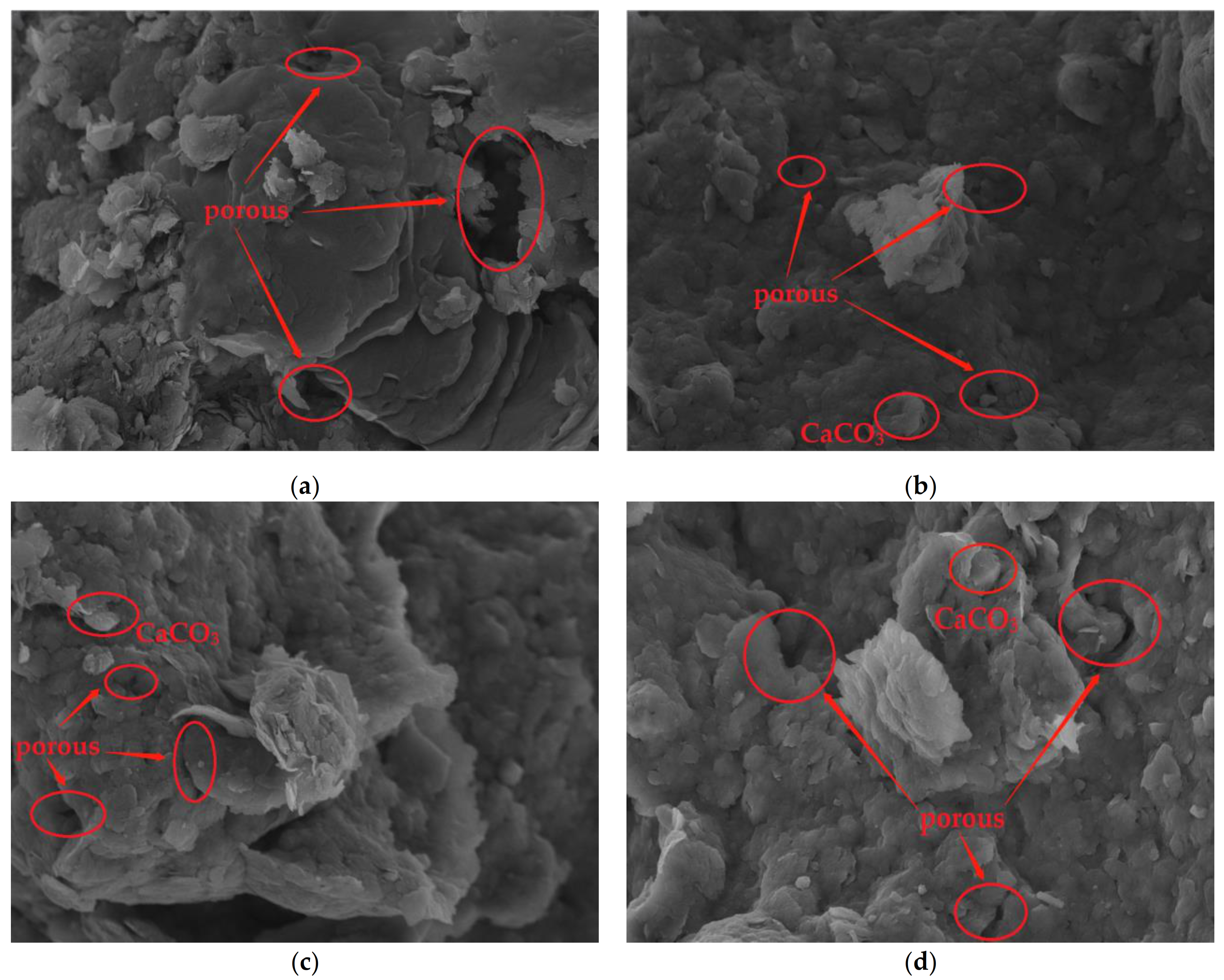 Applsci 12 00342 g005