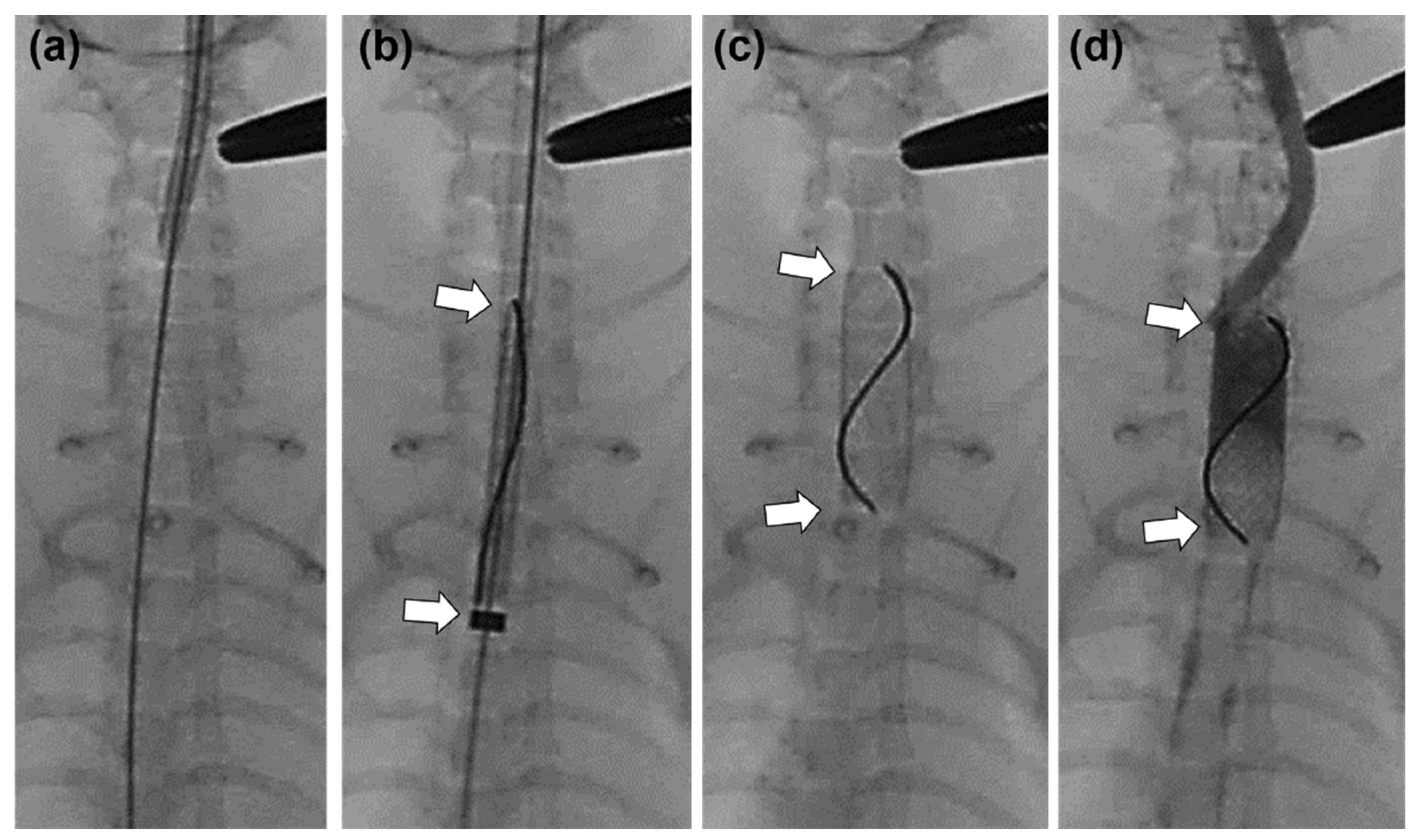 Applsci 12 00346 g001