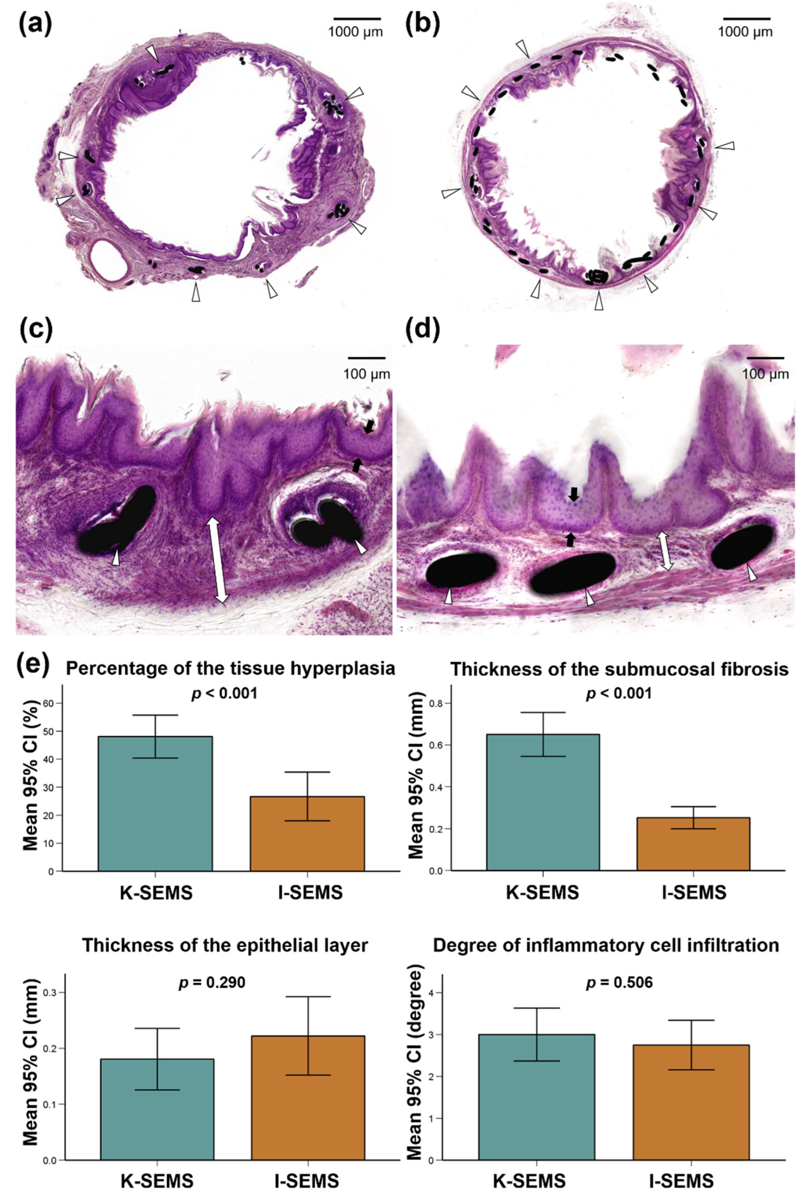 Applsci 12 00346 g004