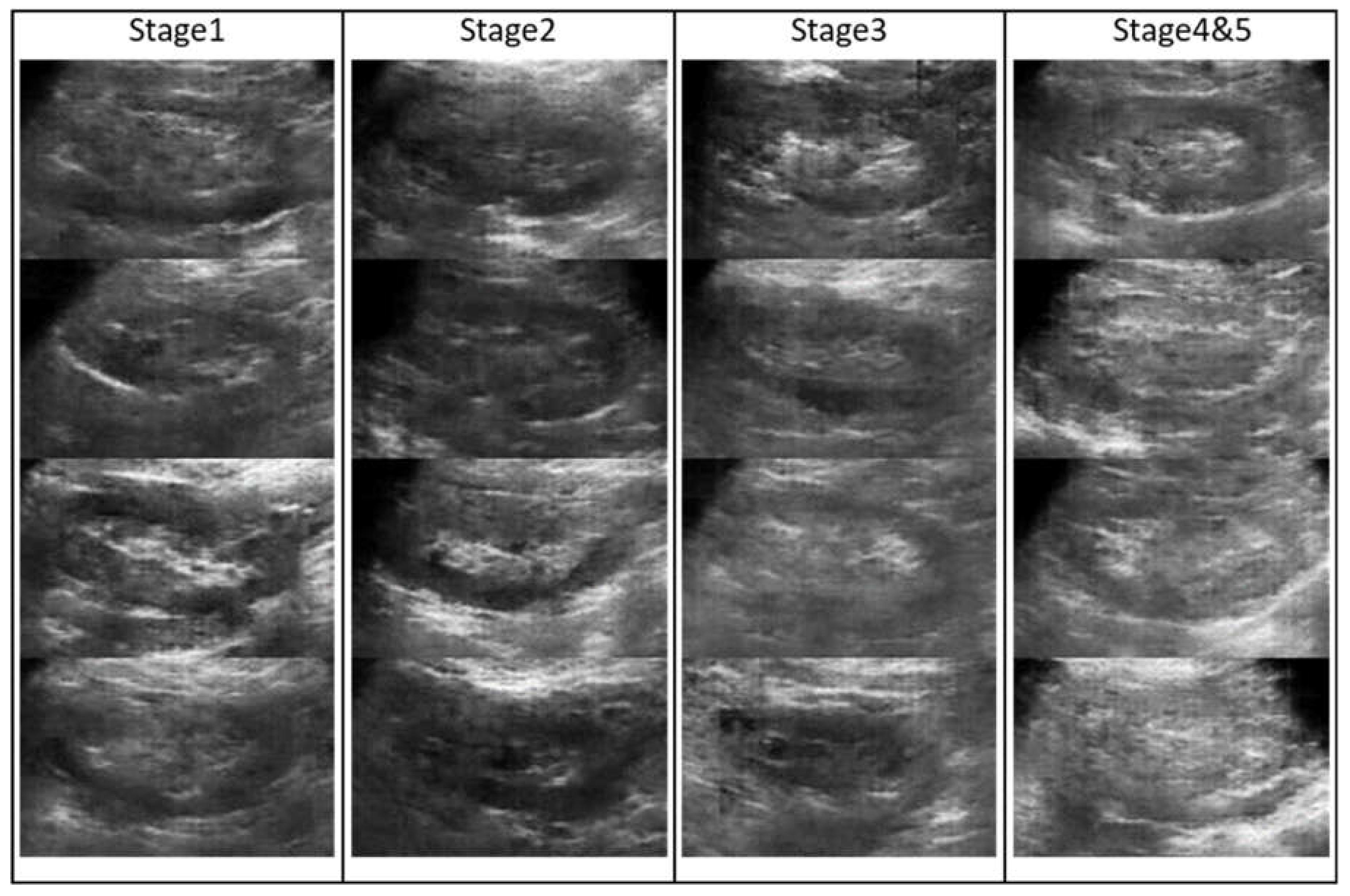 Applsci 12 00352 g004 550