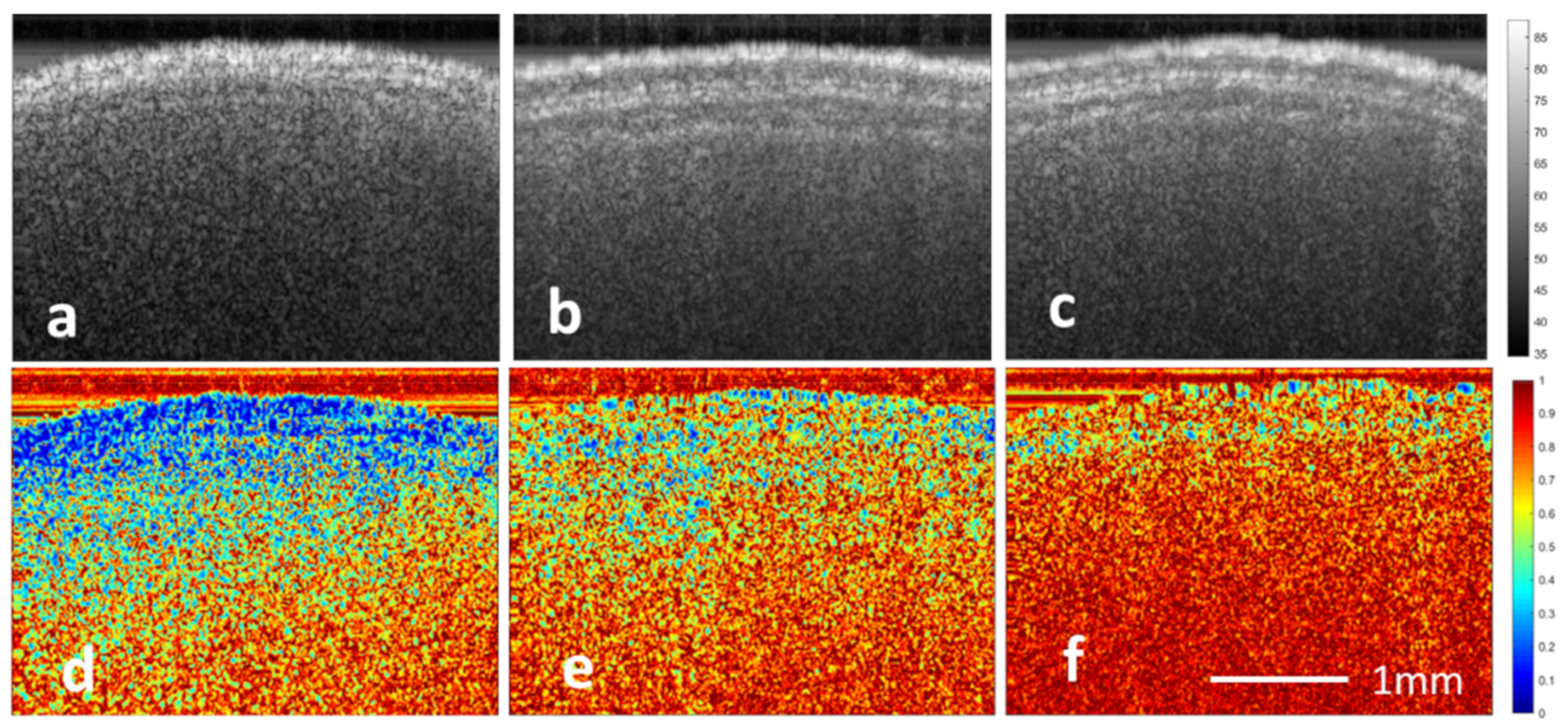 Applsci 12 00355 g002