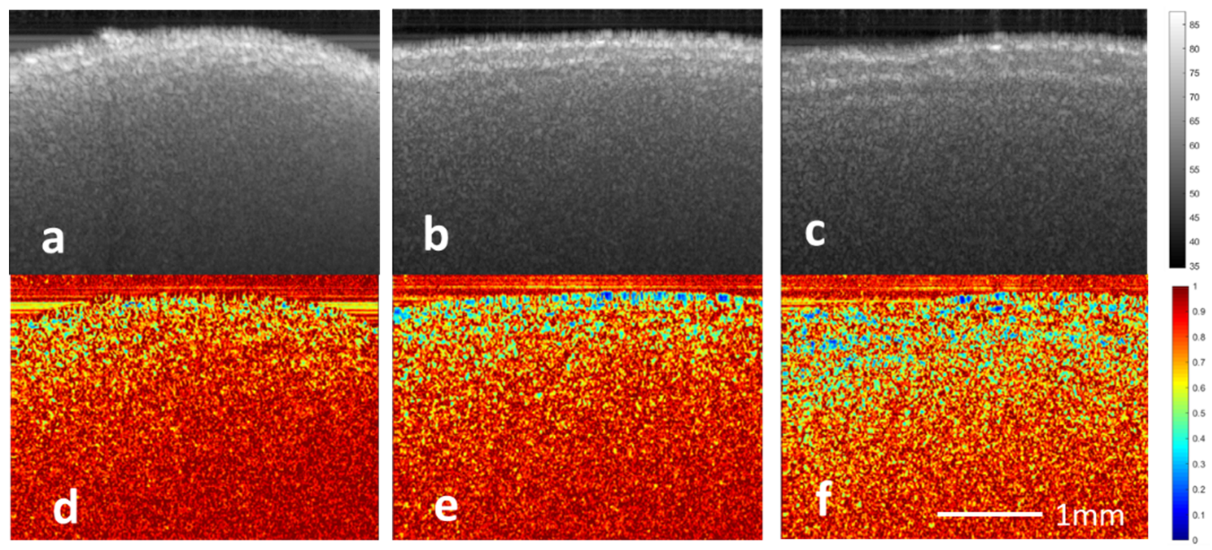 Applsci 12 00355 g005