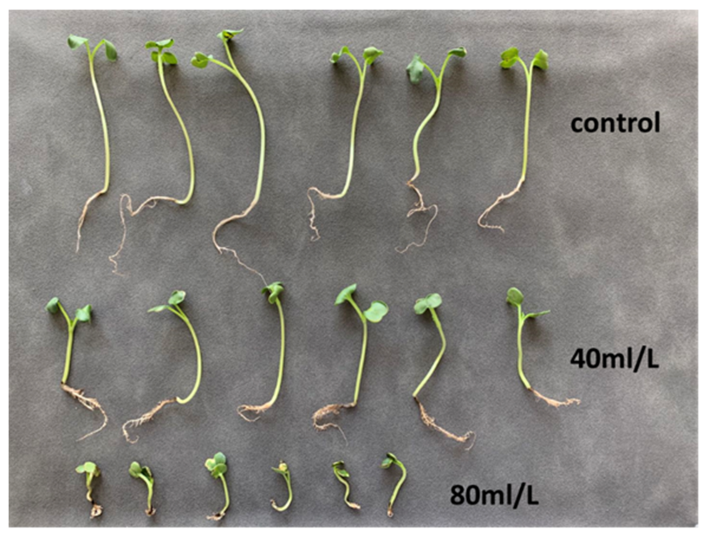 Applsci 12 00355 g007