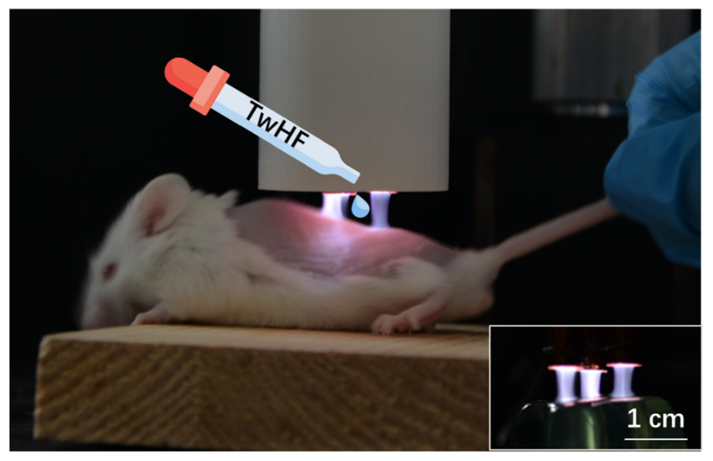 Applsci 12 00356 g001