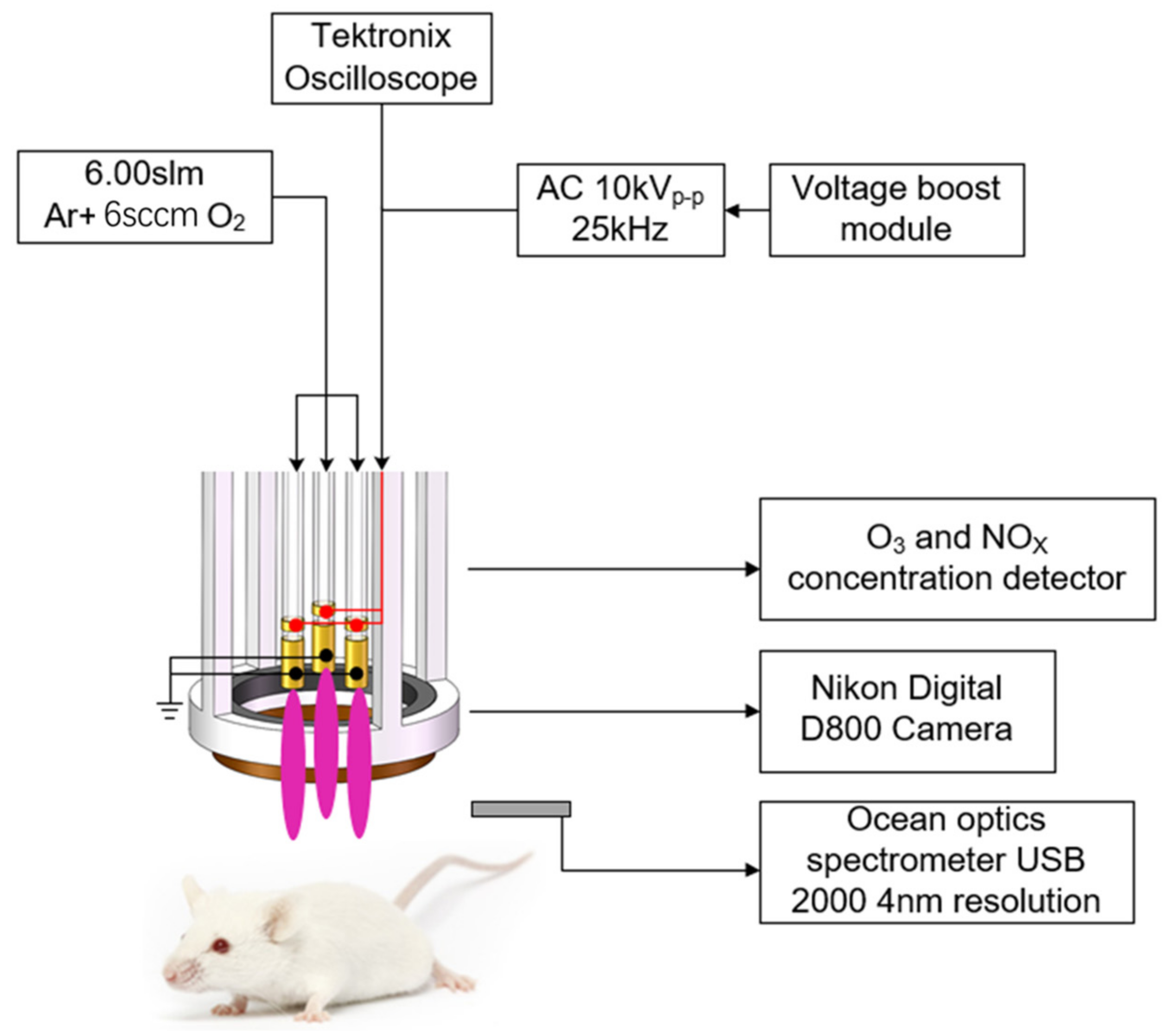 Applsci 12 00356 g002