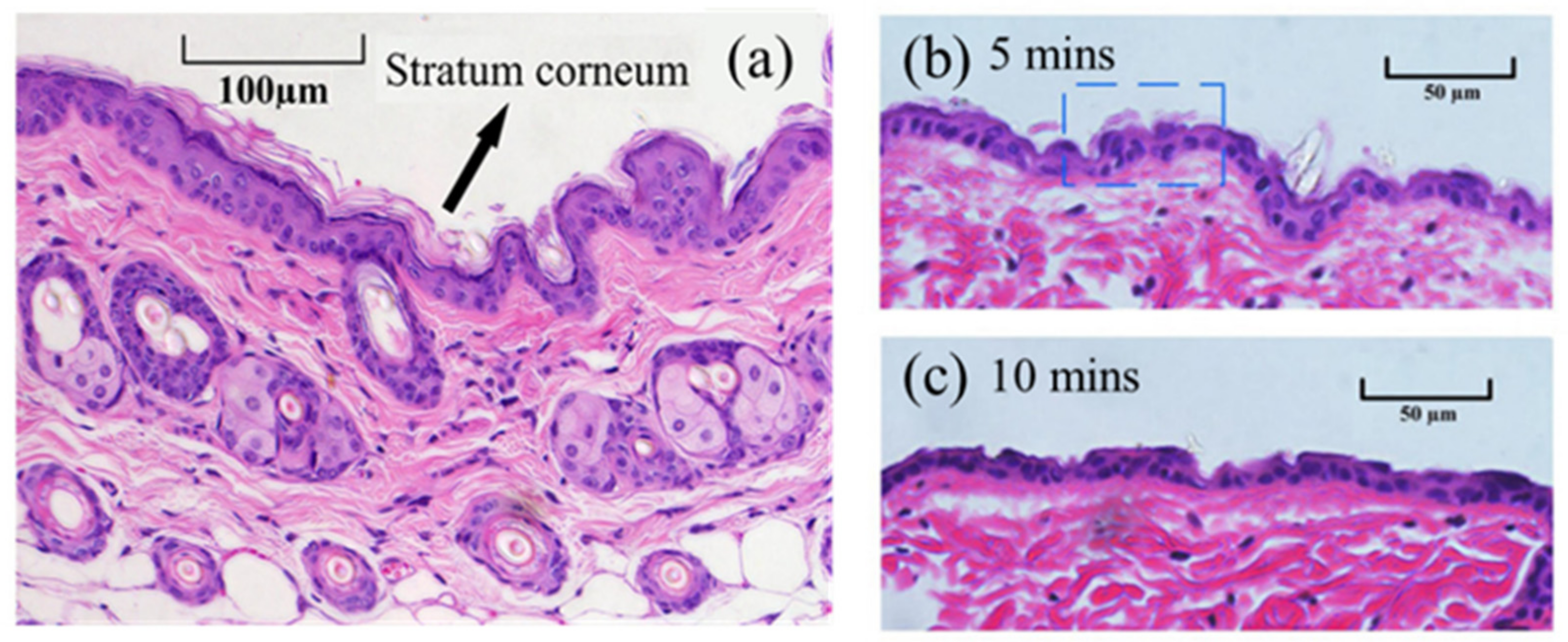 Applsci 12 00356 g006