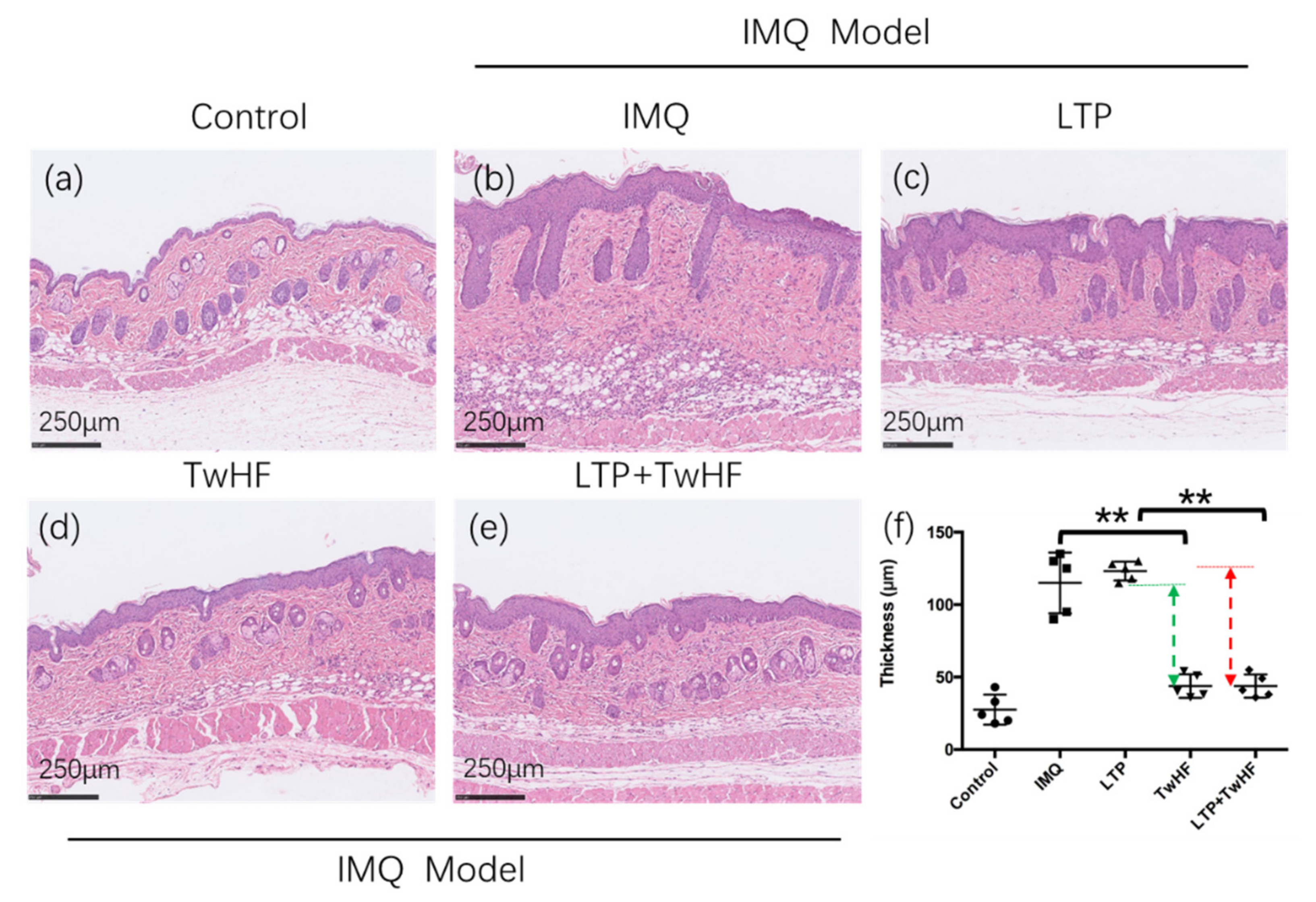 Applsci 12 00356 g008