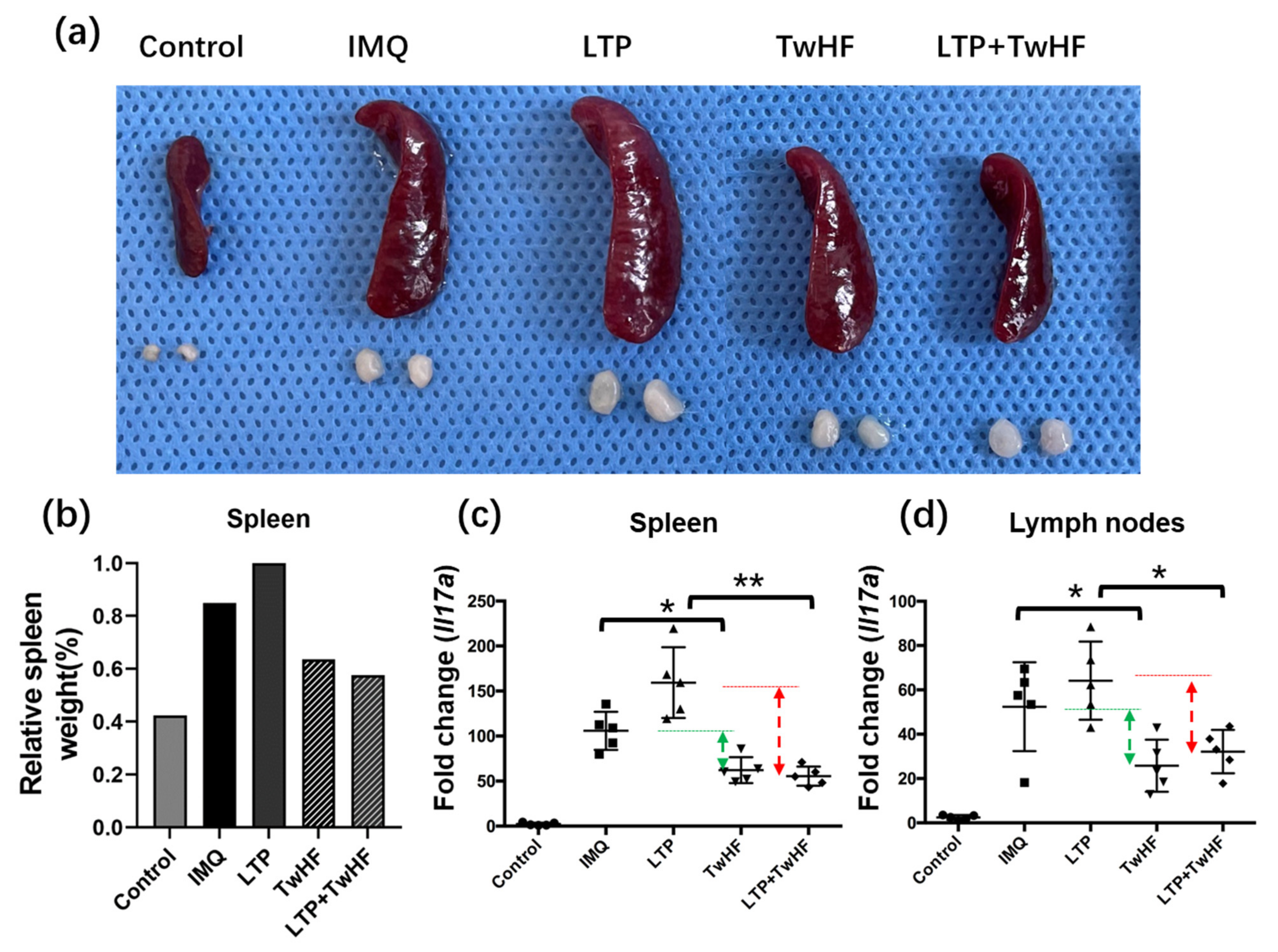 Applsci 12 00356 g010