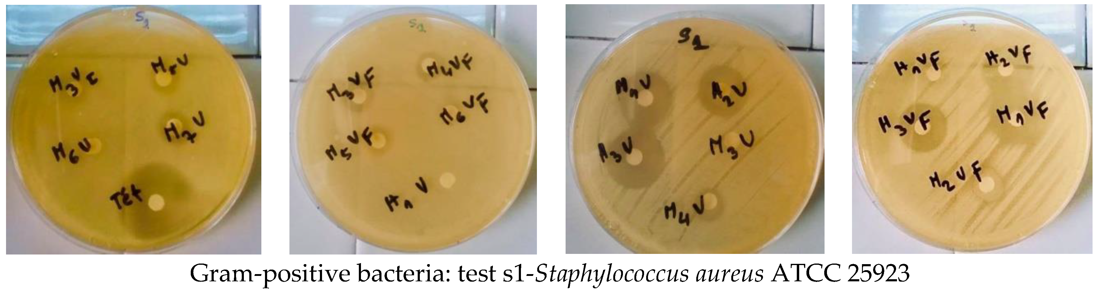 Applsci 12 00360 g007 550