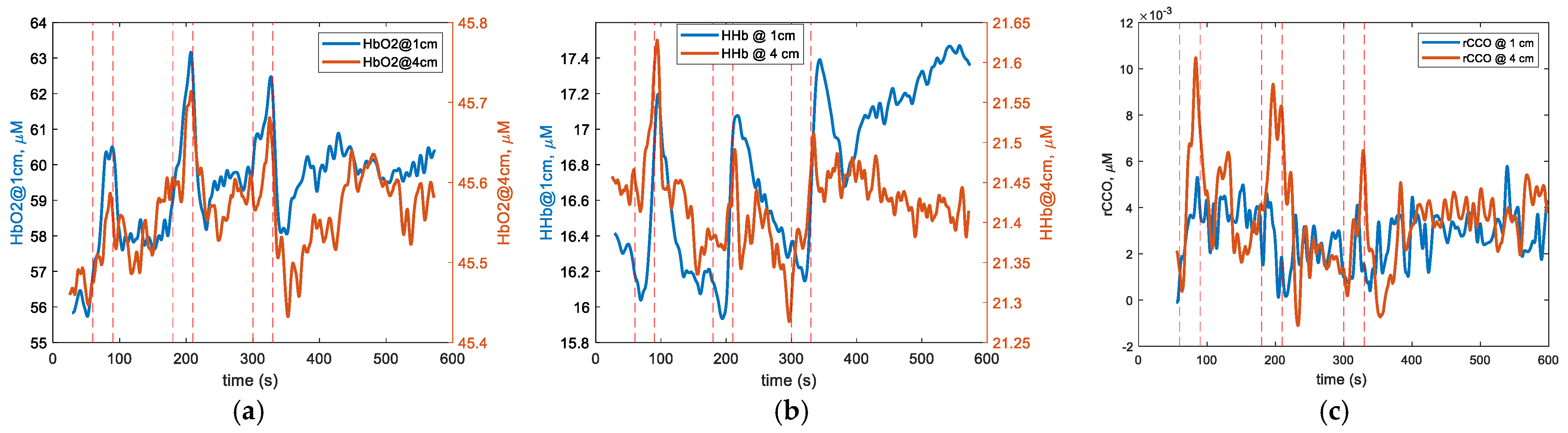 Applsci 12 00371 g005 550