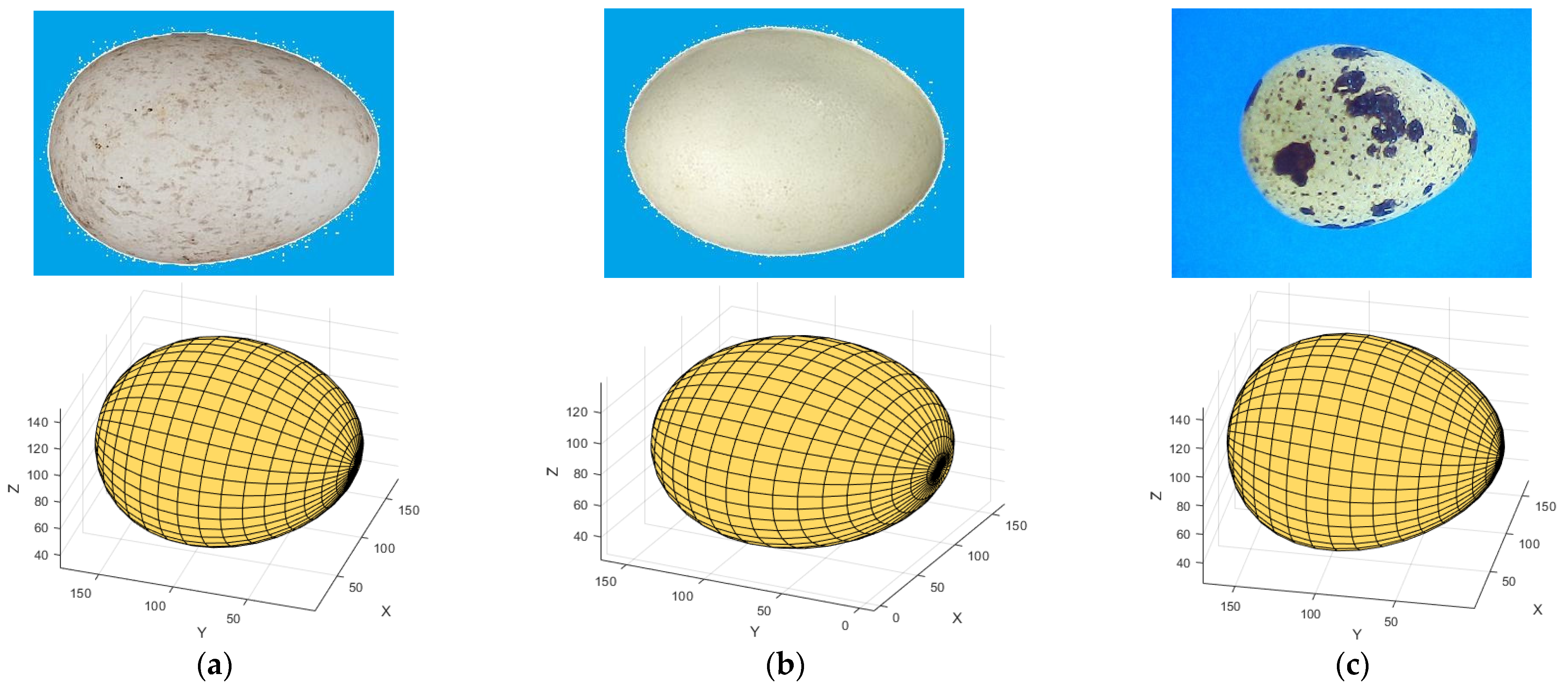 Applsci 12 00373 g004 550