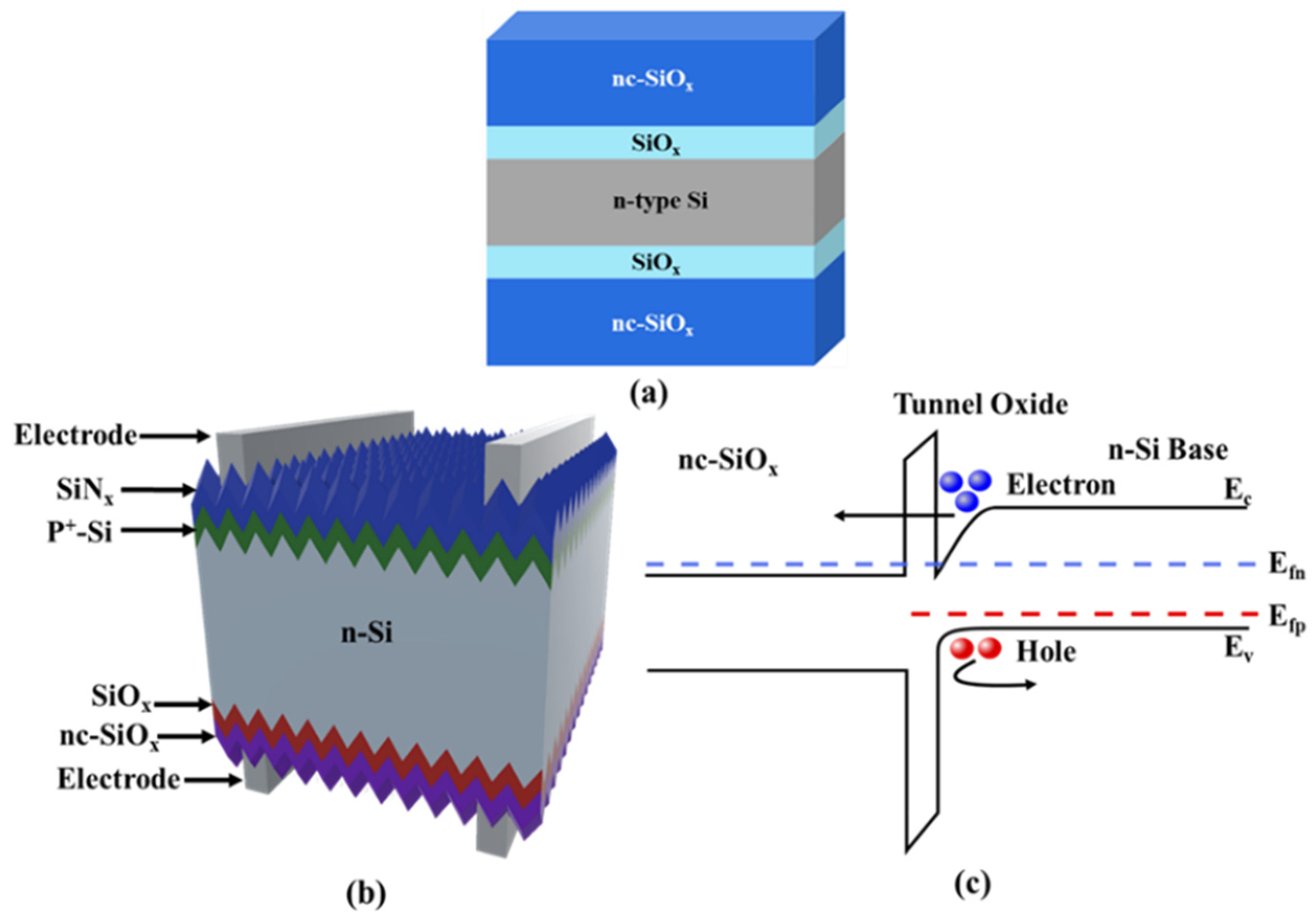Applsci 12 00392 g001 550
