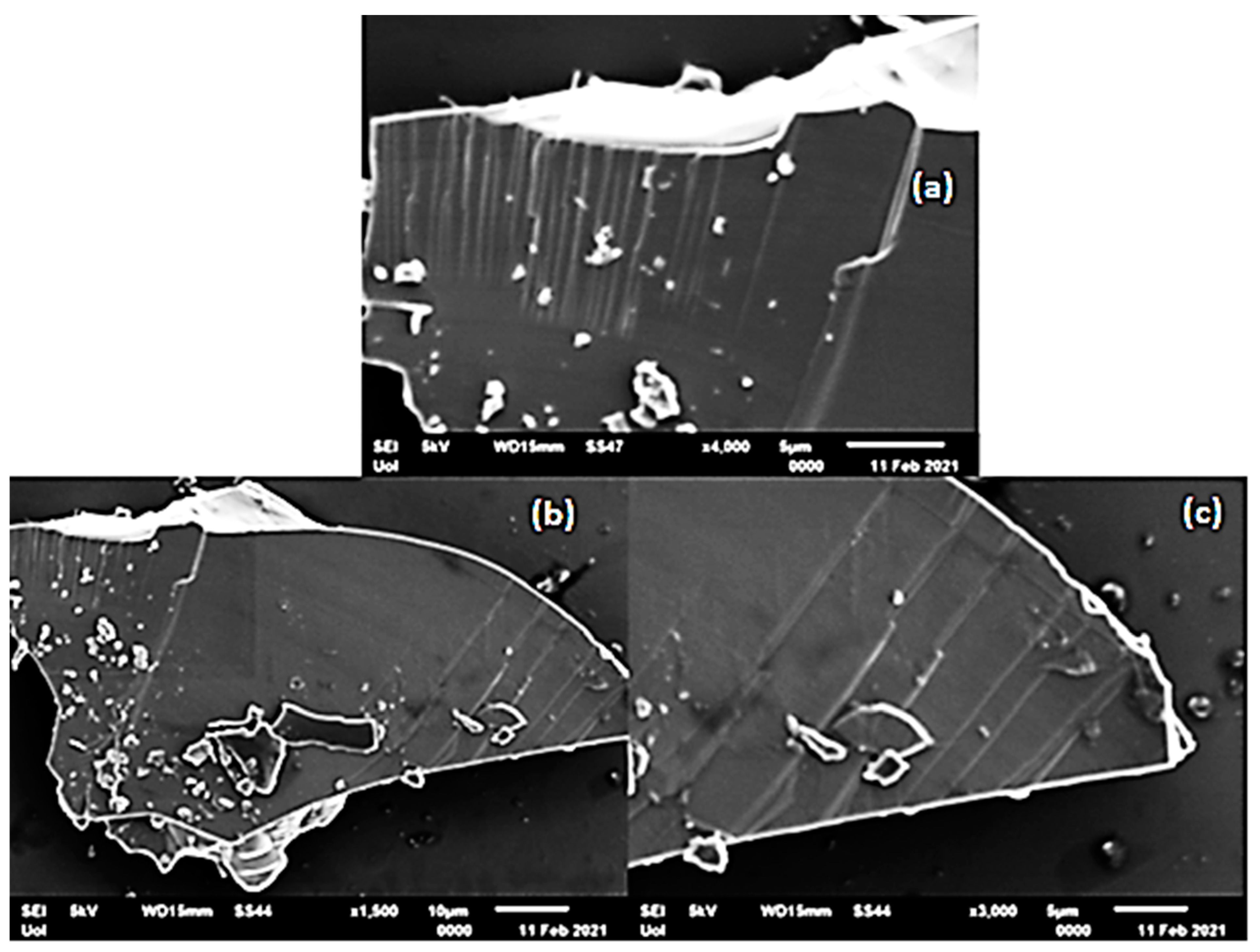 Applsci 12 00410 g005