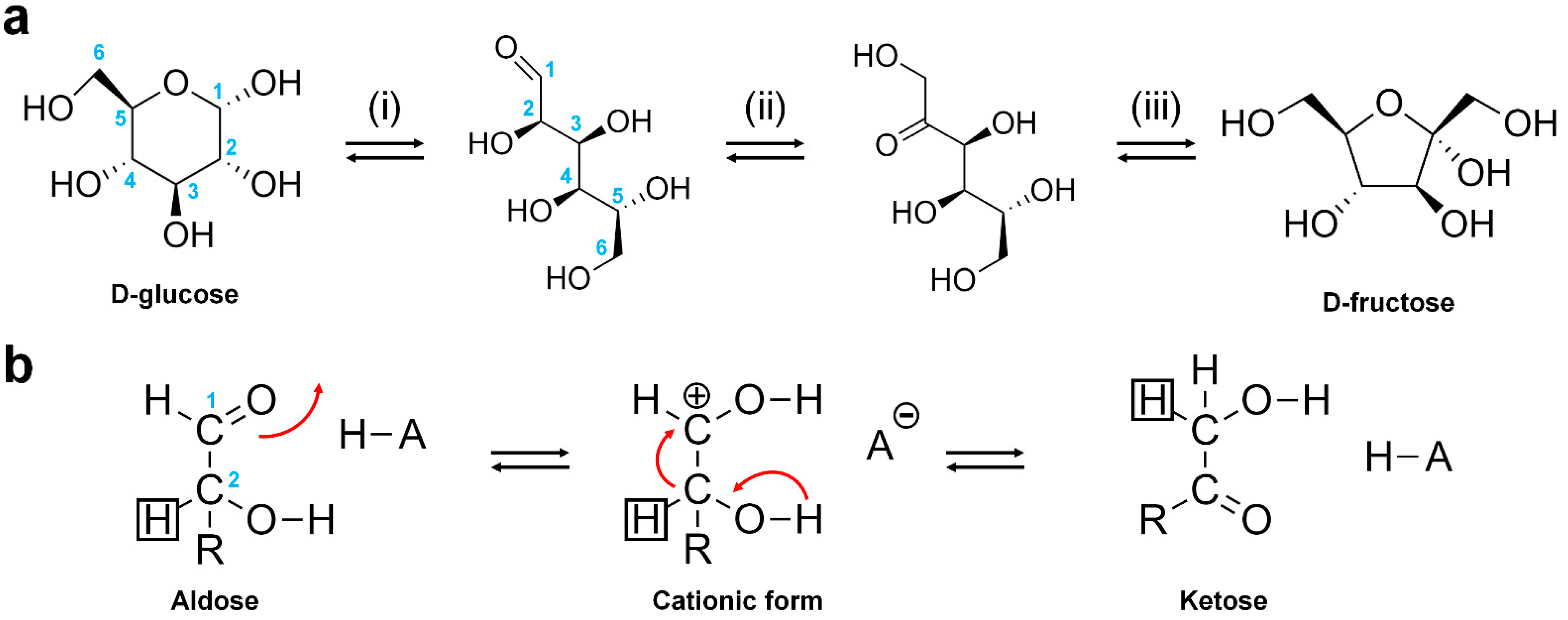 glucose 6 phosphate isomerase function